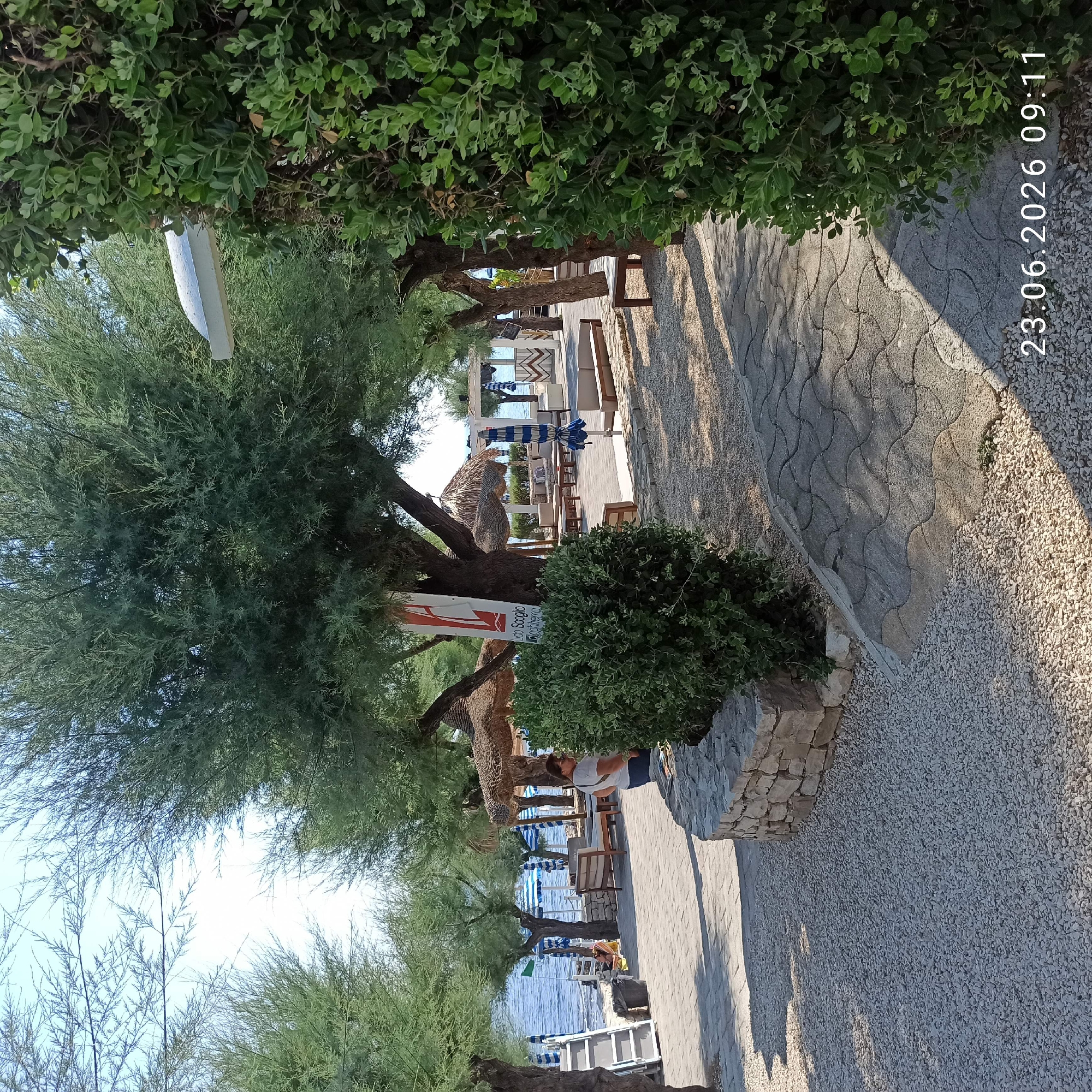 This is a wide-angle outdoor shot of a beach resort area in Molfetta, Italy, captured on June 23, 2026, at 09:11. The scene features a pathway paved with interlocking concrete blocks and a gravel area, lined with trees and lush green bushes. In the background, the Adriatic Sea is visible, with a beach, lounge chairs, and thatched umbrellas suggesting a recreational setting. The image also includes a woman standing near a stone wall, and a banner with Italian text is displayed on a tree. The overall atmosphere is one of a peaceful, sunny day at a coastal establishment.