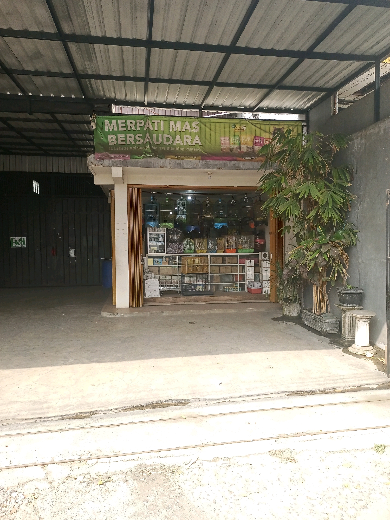 The image depicts the storefront of "MERPATI MAS BERSAUDARA", a shop located at Jl. Laksda Adi Sucipto, No. 178, Blimbing, Malang, Indonesia. The shop specializes in bird-related products, as evidenced by the numerous birdcages displayed inside and hanging from the ceiling. The storefront features large glass windows and a wooden door. Outside the shop, there is a concrete floor and a gray wall. A tall bamboo plant is positioned to the right of the entrance, and several potted plants are also visible. To the left of the shop is a large, dark-colored metal gate. A green sign with an "Excel" logo and text indicating "Toko Kebutuhan Hewan" (Pet Needs Shop) is affixed to the gate. The overall environment suggests an outdoor retail space in a commercial area. No people are visible in the image.