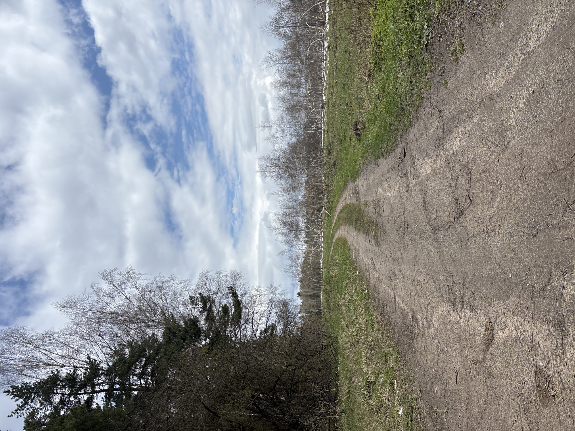 The image depicts a dirt road in Раздолье, Russia, with a cloudy sky above. The road curves slightly to the right. The road is lined with grass and some trees. On the left side of the image are darker trees. The sky is visible above the trees and along the top of the image, with a mix of white clouds and blue sky.