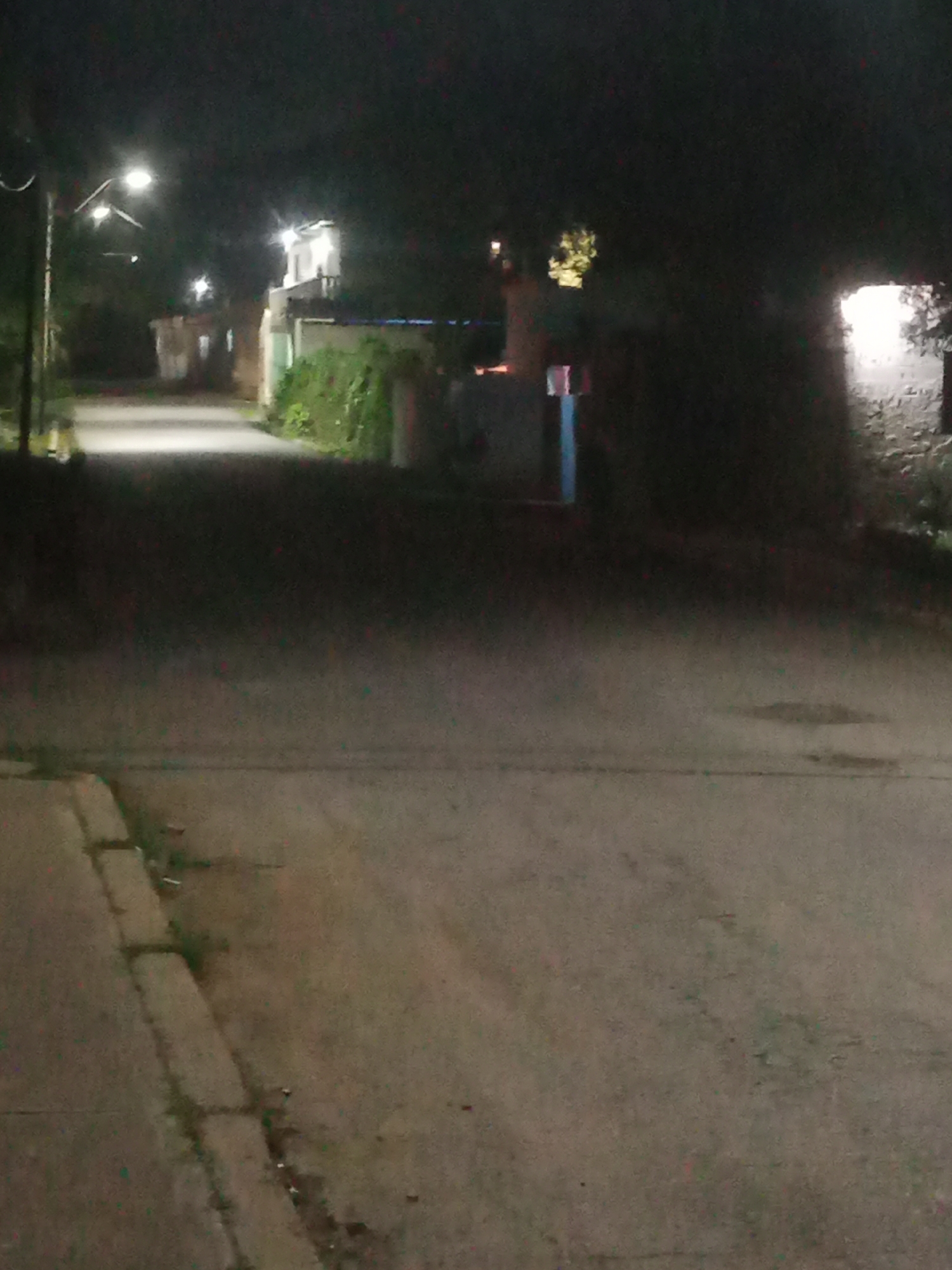 The image depicts a nighttime scene on a paved street in Santa Ana, Venezuela. A street lamp illuminates a section of the road. In the background, buildings are visible, with lights emanating from some of them. Vegetation, such as bushes and trees, lines the sides of the road and surrounds the buildings, indicating a somewhat rural or suburban setting within the city. The street appears to be a residential area.