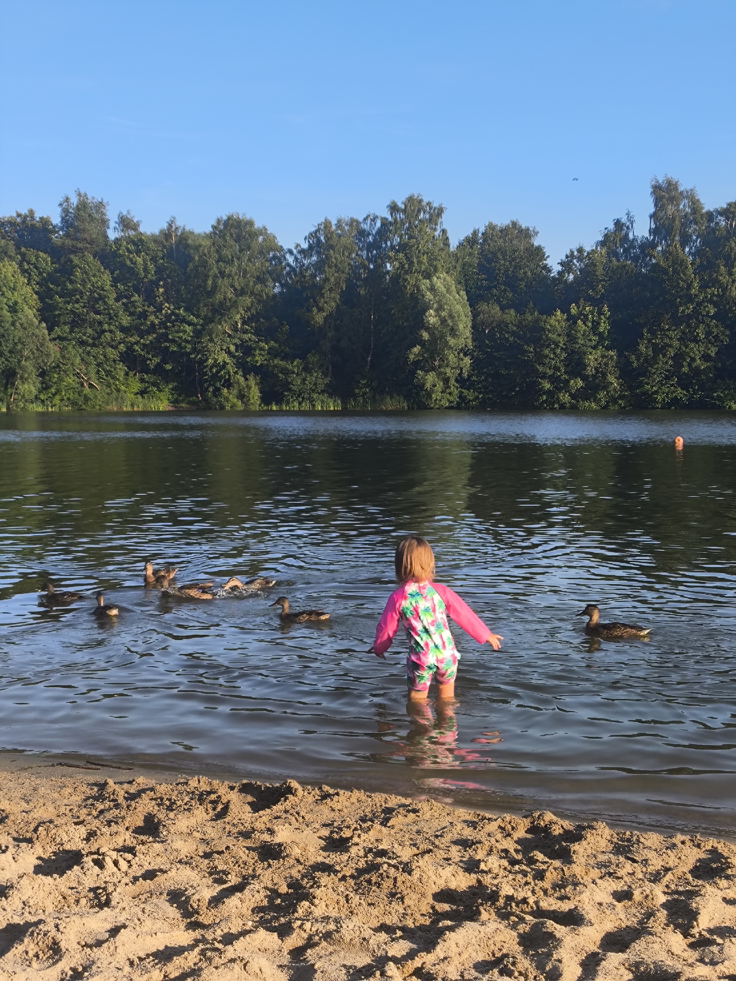 A young child wearing a pink and green swimsuit stands in shallow water on the edge of a lake, facing away from the camera. Several ducks are swimming in the water in front of and around the child. The lake is surrounded by a dense forest of green trees under a clear blue sky. The foreground shows a sandy beach with footprints. An orange buoy is visible in the water in the distance. The scene appears to be a natural outdoor recreational area.