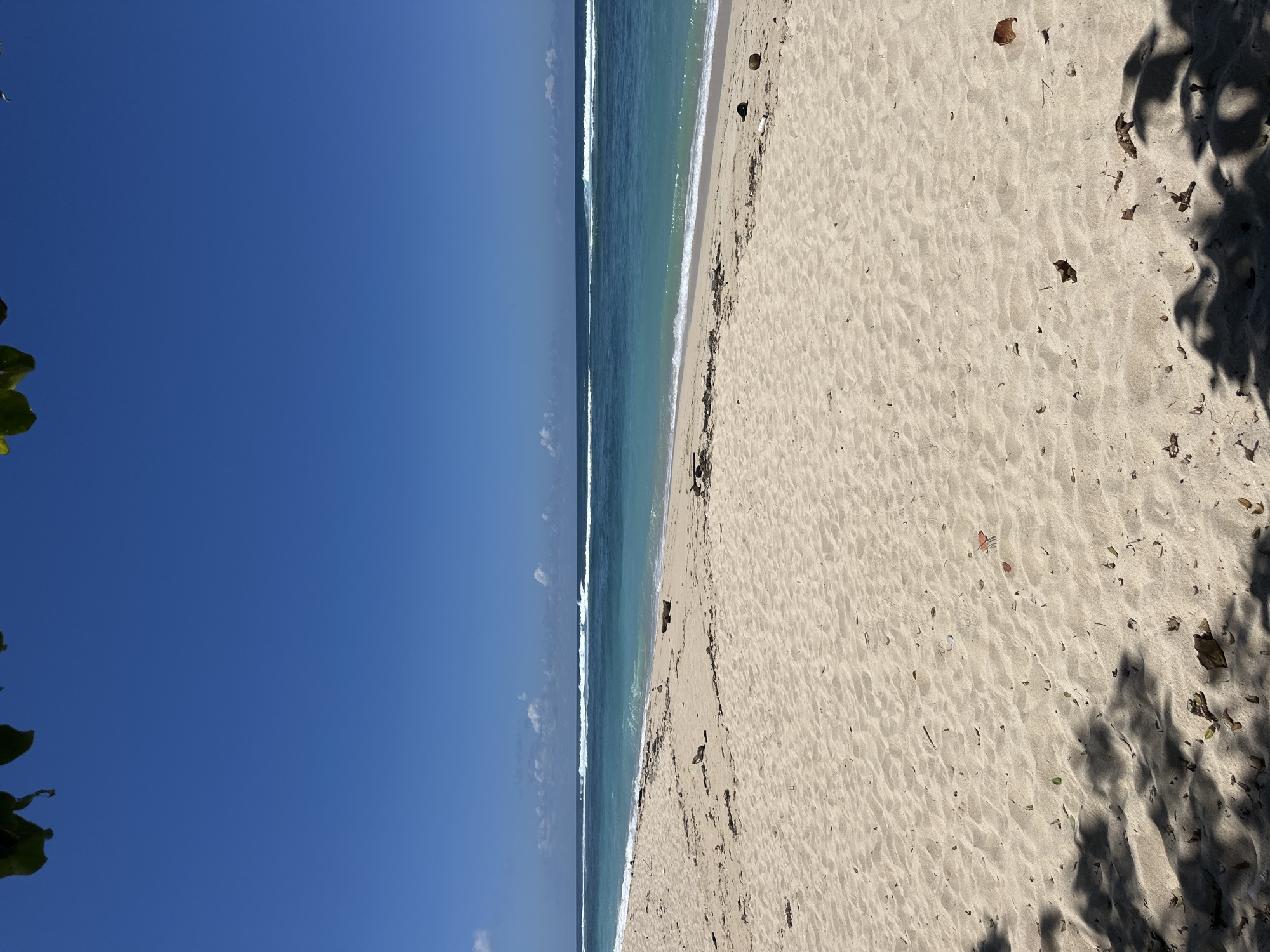 The image displays a vibrant, tranquil tropical beach scene, likely captured in Kuta Selatan, Indonesia, from a slightly elevated perspective. The left side of the frame is dominated by a clear, deep blue sky, showing only a few faint, wispy clouds near the horizon line.
Horizontally bisecting the middle of the image is the turquoise ocean, featuring parallel lines of gentle white waves breaking consistently as they approach the shore. The water's color transitions from a deeper blue further out to a lighter, more translucent turquoise closer to the sand.
The right side of the photograph features a broad expanse of light-colored, fine-grained sand. Scattered upon the sand, particularly near the far right edge, are natural elements such as dry leaves, small twigs, and a few dark, spherical objects that appear to be coconuts or similar tropical fruits. Sharp, elongated shadows from unseen trees or foliage are cast on the sand along the rightmost portion of the beach, indicating strong, direct sunlight.
In the extreme top-left and bottom-left corners, snippets of lush green leaves are visible, suggesting the presence of tropical vegetation bordering the beach. There are no people visible in the scene, contributing to an atmosphere of undisturbed natural beauty and serenity. The bright illumination, clear skies, and distinct shadows suggest the photograph was taken during the mid-morning or early afternoon under excellent, sunny weather conditions. No text is visible in the image.