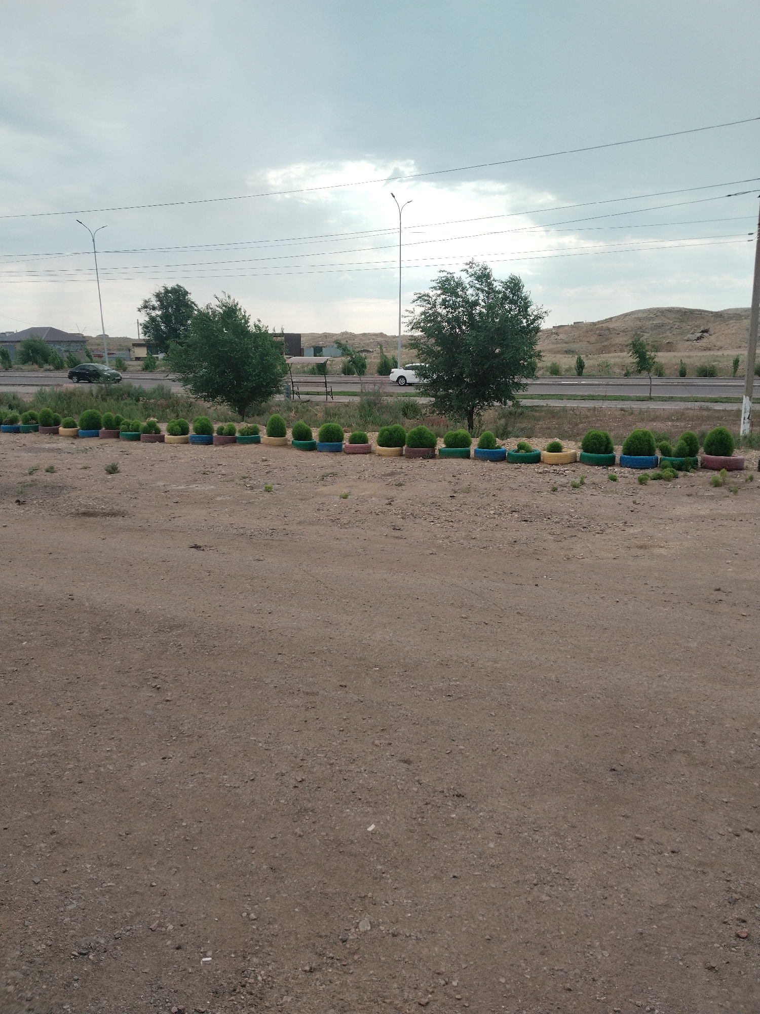 The image depicts a street scene in Balqaş, Kazakhstan. In the foreground, a dirt path leads towards a row of potted plants. These plants are housed in colorful, repurposed tires, arranged in a line. Beyond the potted plants, a road is visible with vehicles, including a black car and a white car. Several trees are scattered throughout the scene, some larger and more mature, others smaller and sapling-like. In the background, low hills are present, with a cloudy sky overhead. The environment appears to be somewhat arid, with sparse vegetation.