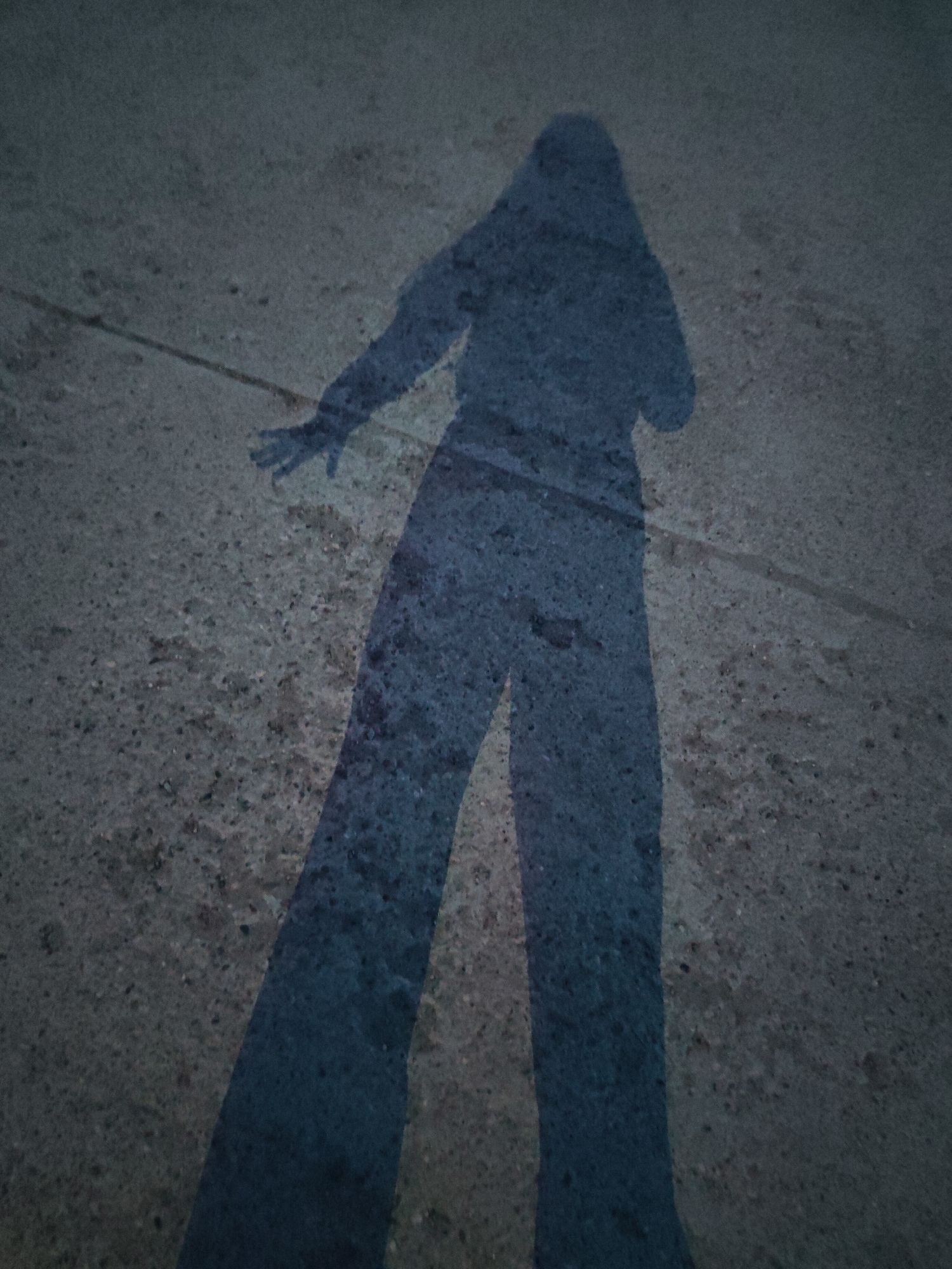 The image shows a shadow of a person on a concrete surface. The person appears to be standing with one arm extended. The location is unknown.