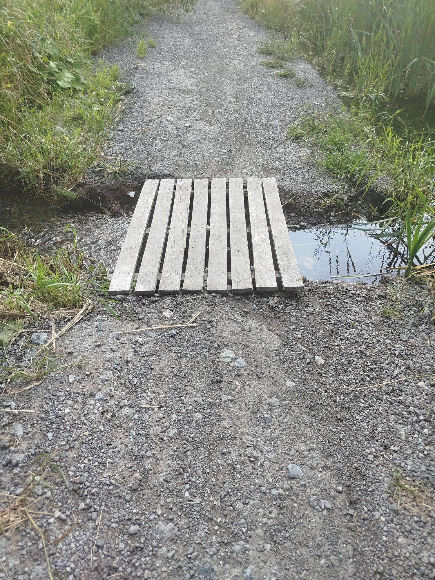 The image shows a wooden plank bridge spanning a narrow body of water. The bridge is made of evenly spaced, light-colored wooden planks laid horizontally. The path leading to the bridge is composed of gravel and small stones. Lush green grass and reeds grow along the banks of the water, with some taller stalks of vegetation visible to the right. The water itself appears calm, reflecting the surrounding greenery and sky. The scene suggests a natural outdoor setting, possibly a park or a trail in a rural or semi-rural area. The specific location in the city of Tyumen, Russia cannot be determined from the visual information alone.