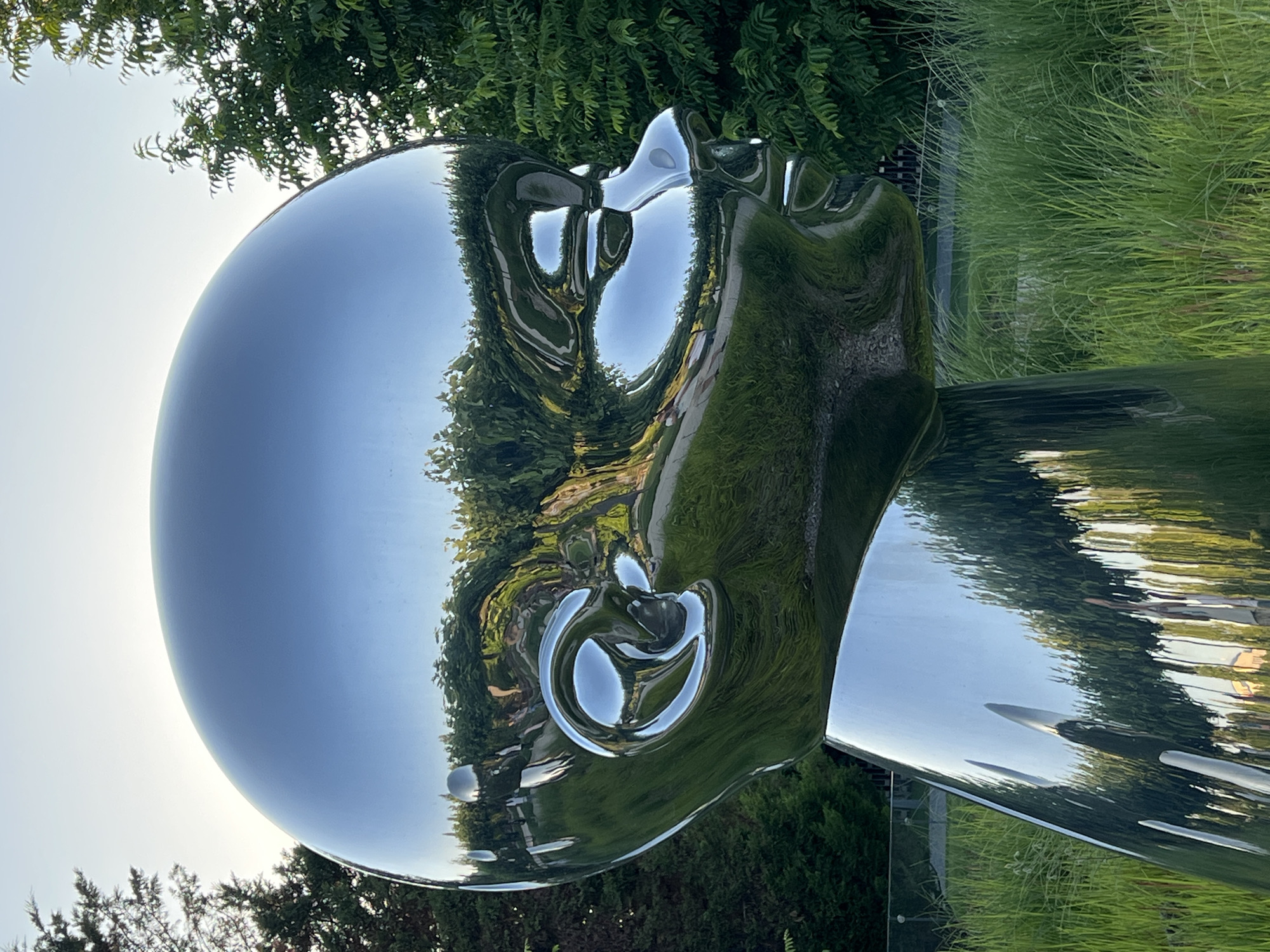The image depicts a large, polished metal sculpture of a baby's head, positioned outdoors in a landscape setting. The sculpture's highly reflective surface mirrors its surroundings, showing trees, foliage, and what appears to be a bright sky. The sculpture is situated amidst tall green grasses and some trees. The overall impression is of a public art installation in a park or garden. The location of this sculpture in the city of Krasnodar, Russia is not identifiable from the image itself.