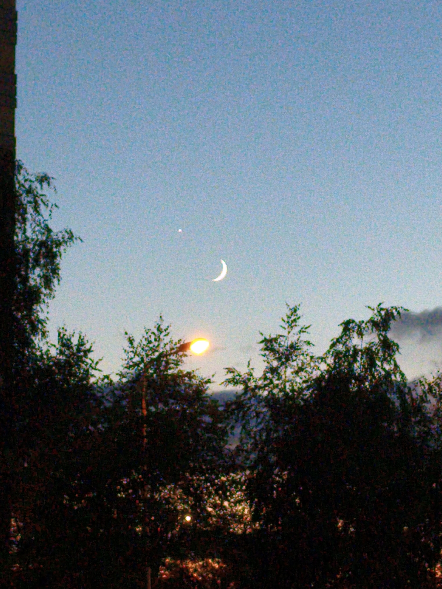 The image depicts a twilight sky over Domodedovo, Russia, with a crescent moon and a bright star visible. Silhouetted trees fill the foreground, with a street lamp emitting an orange glow amongst them. A building edge is visible on the far left. The overall scene suggests an urban or suburban setting at dusk.