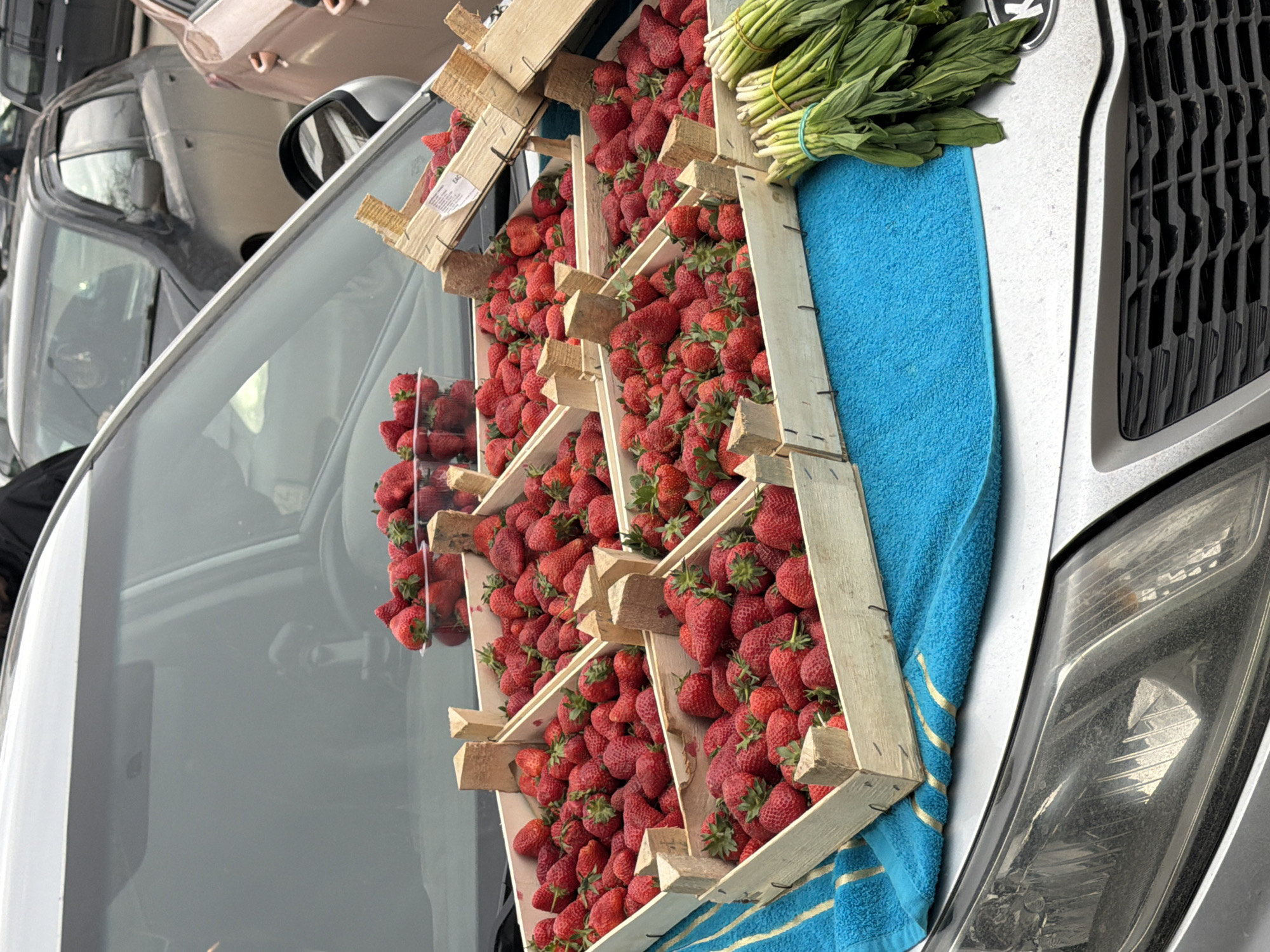 The image, taken in Krasnoyarsk, Russia, captures a vibrant street vendor setup, displaying fresh produce on the hood and windshield of a silver car. The primary subjects are numerous bright red strawberries, packed into several light wooden crates. These crates are arranged across the car's hood and extend onto the windshield, with some strawberries also visible in clear plastic containers. The strawberries appear ripe and abundant, filling the crates.
Adjacent to the strawberry crates, a large bunch of fresh green leafy vegetables, likely wild garlic or ramps, is placed on a folded blue towel. The greens are neatly tied with elastic bands, suggesting they are prepared for sale. The blue towel provides a contrasting color against the red strawberries and the silver car.
The car itself is silver, with its front end, including the hood, part of the grille, and a headlight, visible on the right side of the frame. The windshield and a side mirror are prominent on the left. The scene appears to be set outdoors in an urban or suburban environment, possibly a street or market area, indicated by the presence of other vehicles in the background. Reflections of a darker vehicle and a light brown car are visible in the background, adding to the outdoor setting.
The lighting suggests it is daytime with clear weather. A small white label with some illegible text is affixed to one of the wooden strawberry crates. The overall impression is one of an informal, direct-to-consumer sale of fresh, local produce.