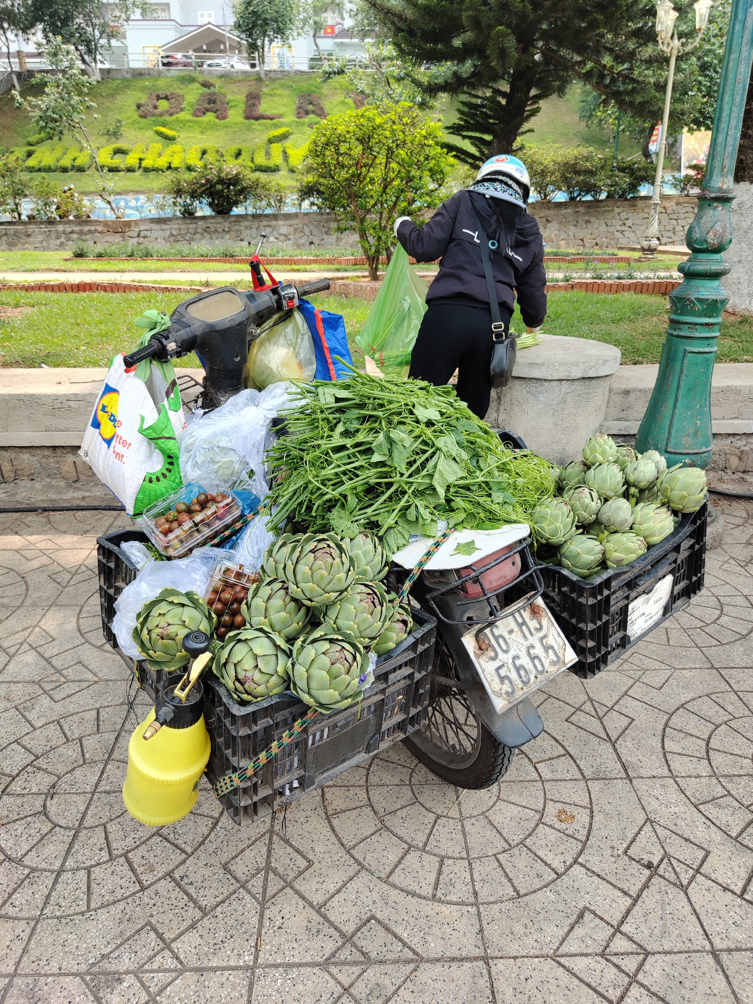 The image captures a street scene in Da Lat, Vietnam, where a person wearing a helmet, a black jacket, and black pants is restocking a roadside vegetable vending cart. The cart, attached to a motor scooter, is laden with produce including artichokes, leafy greens, and tomatoes. The scooter's license plate is visible. A yellow spray bottle is present next to the produce. The backdrop shows a landscaped hill displaying the city's name, "Đà Lạt," in planted greenery. The scene is staged on a paved area with a circular pattern, bordered by grass, trees, and a vintage green lamppost. The person's action indicates they are likely preparing for business.