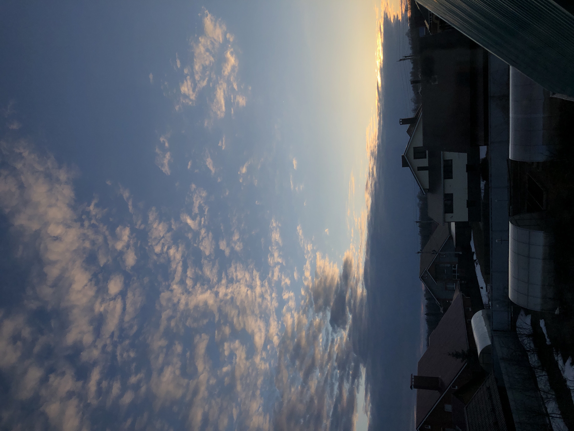 The image shows a partially cloudy sky over a neighborhood in Noviy, Russia. The sky transitions from blue on the left to a golden hue near the horizon on the right. There are several houses with peaked roofs visible, along with what appear to be greenhouses or similar structures. Patches of dark trees can be seen in the background. The light suggests it is either sunrise or sunset.