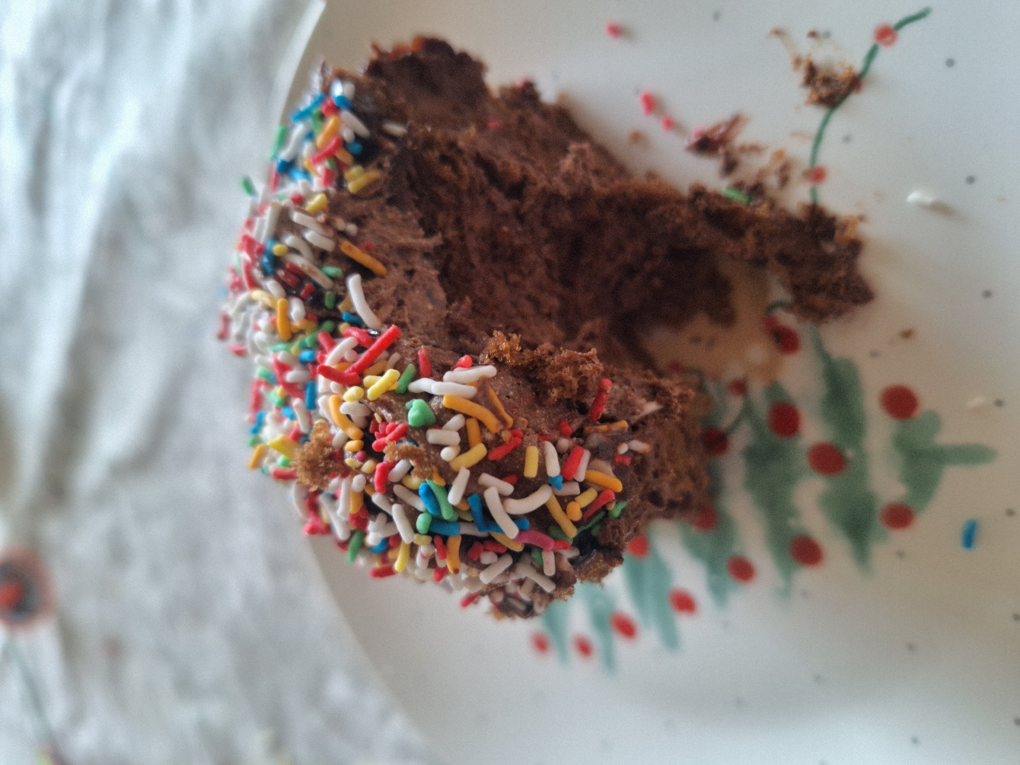 The image depicts a partially eaten chocolate cupcake with colorful sprinkles on a white plate. The cupcake is dark brown, suggesting chocolate, and has a moist texture. The sprinkles are multi-colored, including red, yellow, blue, green, and white. The plate has a design featuring green and red elements, potentially suggestive of a Christmas or holiday theme. The scene's location and the presence of people cannot be determined from this image. The cupcake rests on a plate on top of a white surface.