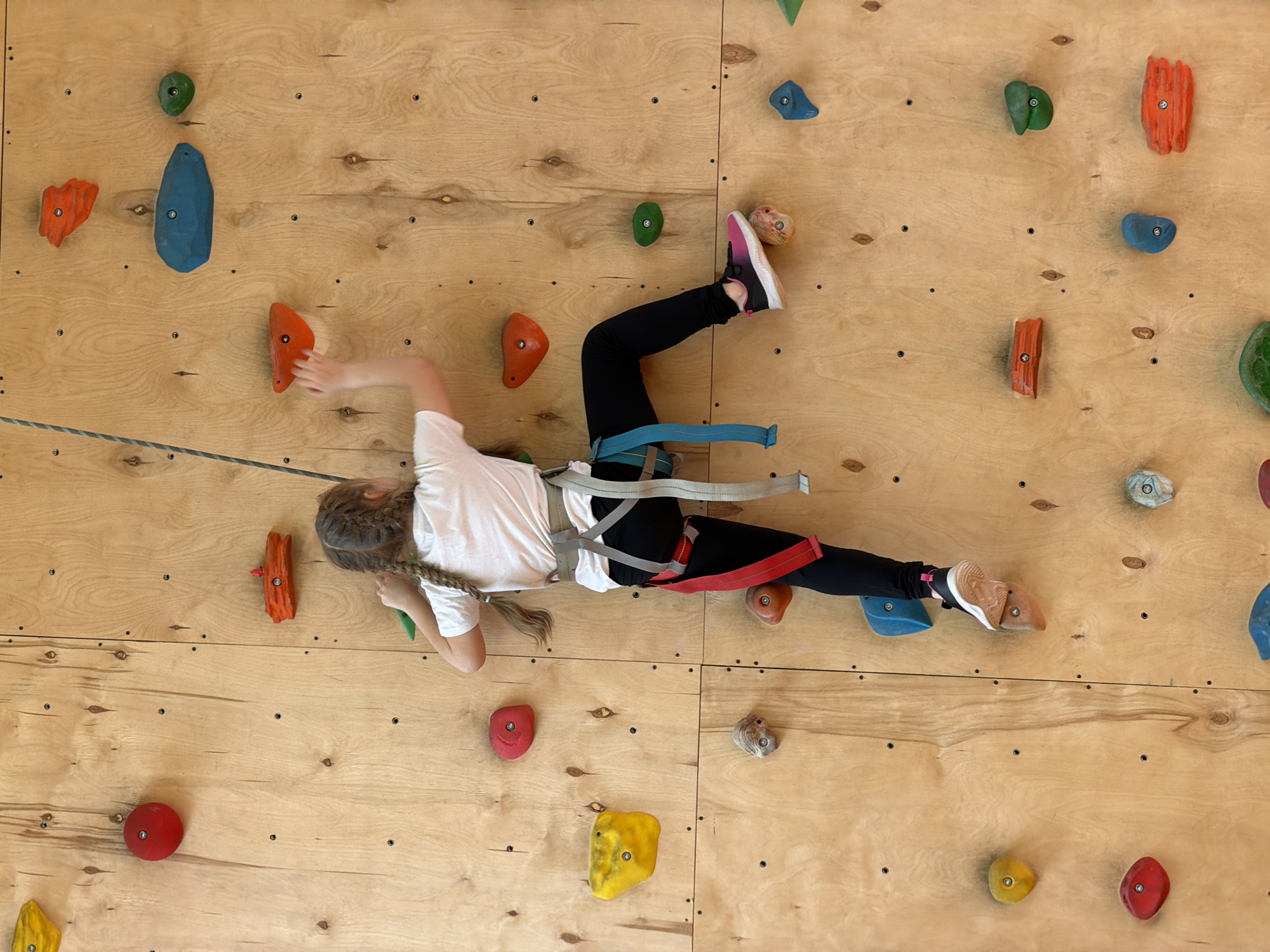 A young person is seen actively climbing an indoor bouldering or climbing wall, positioned horizontally in the frame. The wall is constructed from light-colored wooden panels, featuring numerous colorful climbing holds of various shapes and sizes in shades of red, orange, green, blue, and yellow, along with some gray. The climber, likely a child or teenager with long braids, is wearing black leggings, a white short-sleeved t-shirt, and sneakers with pink and black accents. They are equipped with a safety harness, visible in blue and red straps around their waist and legs, and a safety rope extends from the harness downwards and out of frame.
The individual is captured mid-movement, with their right hand reaching for an orange hold, and their left hand grasping a green hold. Their right leg is extended, with the foot placed on a blue hold, while the left leg is bent, positioned on another hold. The image is taken from an overhead perspective, looking down at the climber. The scene depicts a moment of physical activity and concentration within a dedicated climbing facility, likely located in Izhevsk, Russia. No visible text is discernible within the image.