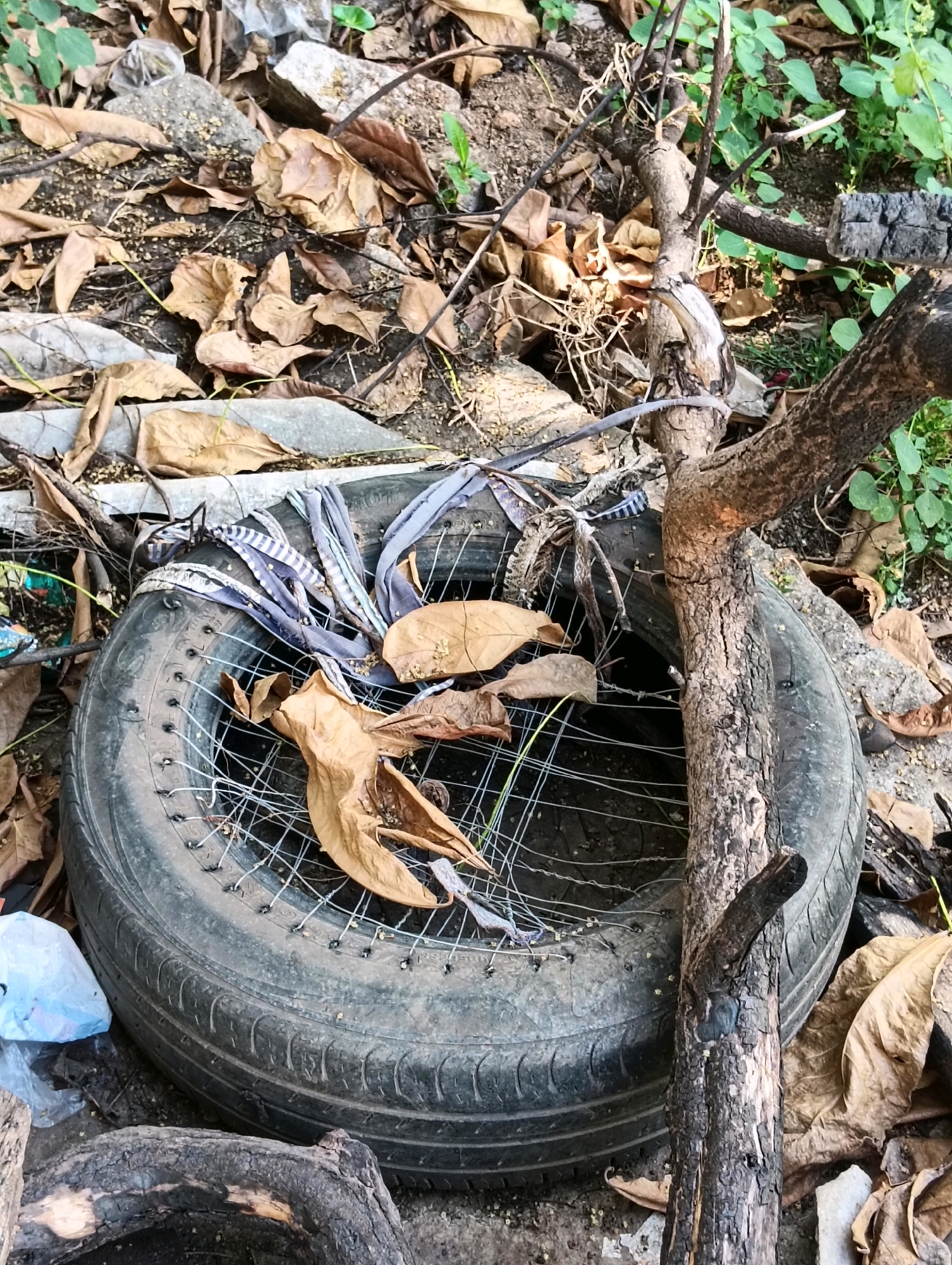 The image depicts a close-up, high-angle view of a discarded tire lying on the ground amidst debris. The tire is dark gray, with visible tread patterns and a wire-spoke rim. Several dried, brown leaves are scattered on and around the tire. A thick, rough-barked tree branch runs diagonally across the image, partially obscuring the tire. The surrounding environment consists of dirt, rocks, more dried leaves, and some sparse green vegetation. A crumpled piece of light blue plastic is visible to the left of the tire. The scene appears to be an outdoor setting, possibly a neglected area within the city of Hosapete, India, characterized by the presence of trash and natural detritus. There are no people or animals visible in the image, and no specific actions or interactions are taking place. The overall impression is one of abandonment and decay.