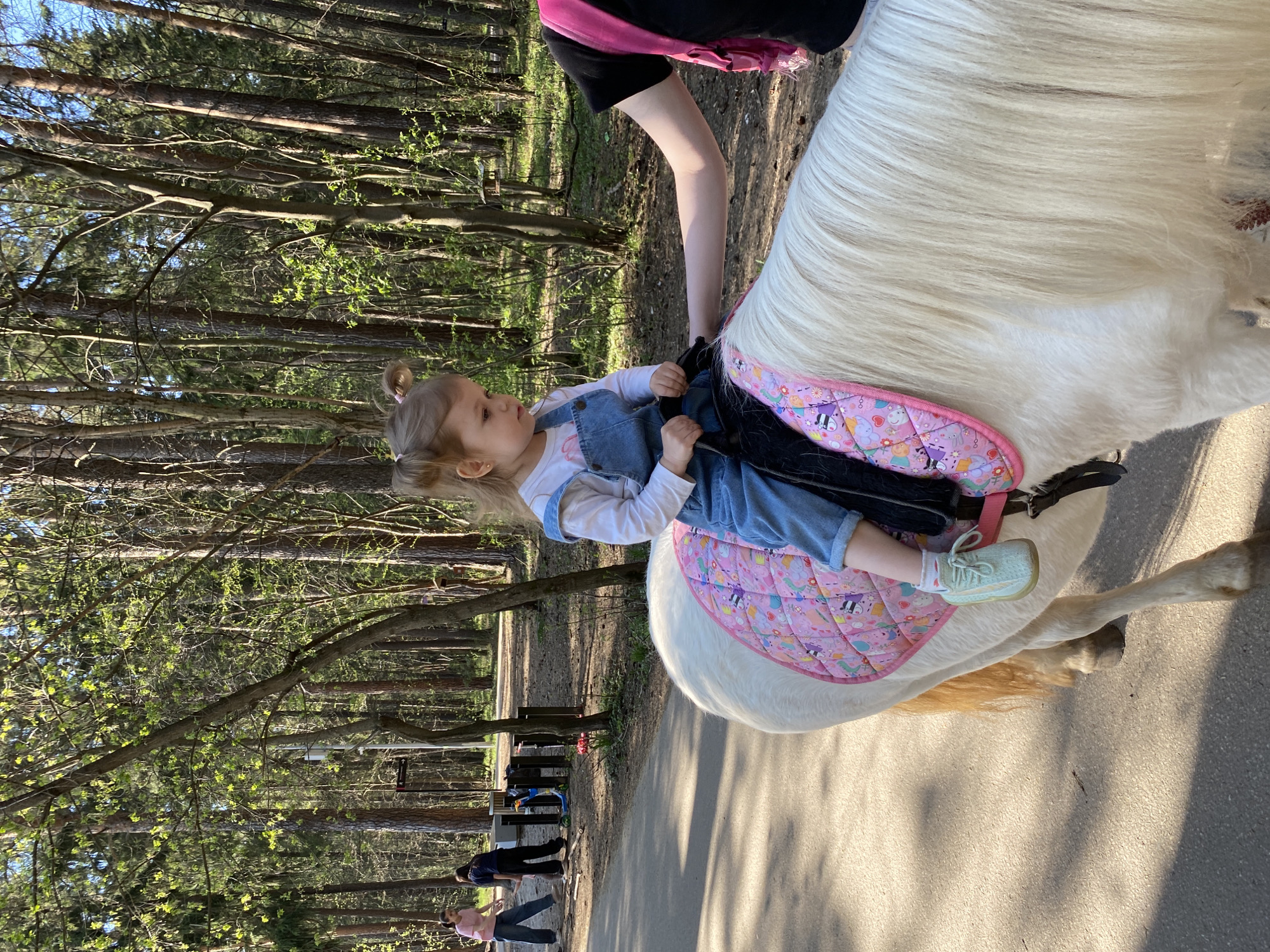 A young child with blonde hair styled in pigtails is sitting on a white horse with a pink quilted saddle pad. The horse is being led by an adult whose legs are visible. The setting appears to be a park or wooded area with trees lining a pathway. In the background, there are figures walking along the path. The scene is illuminated by sunlight. The image was taken in the city of Perm, Russia.