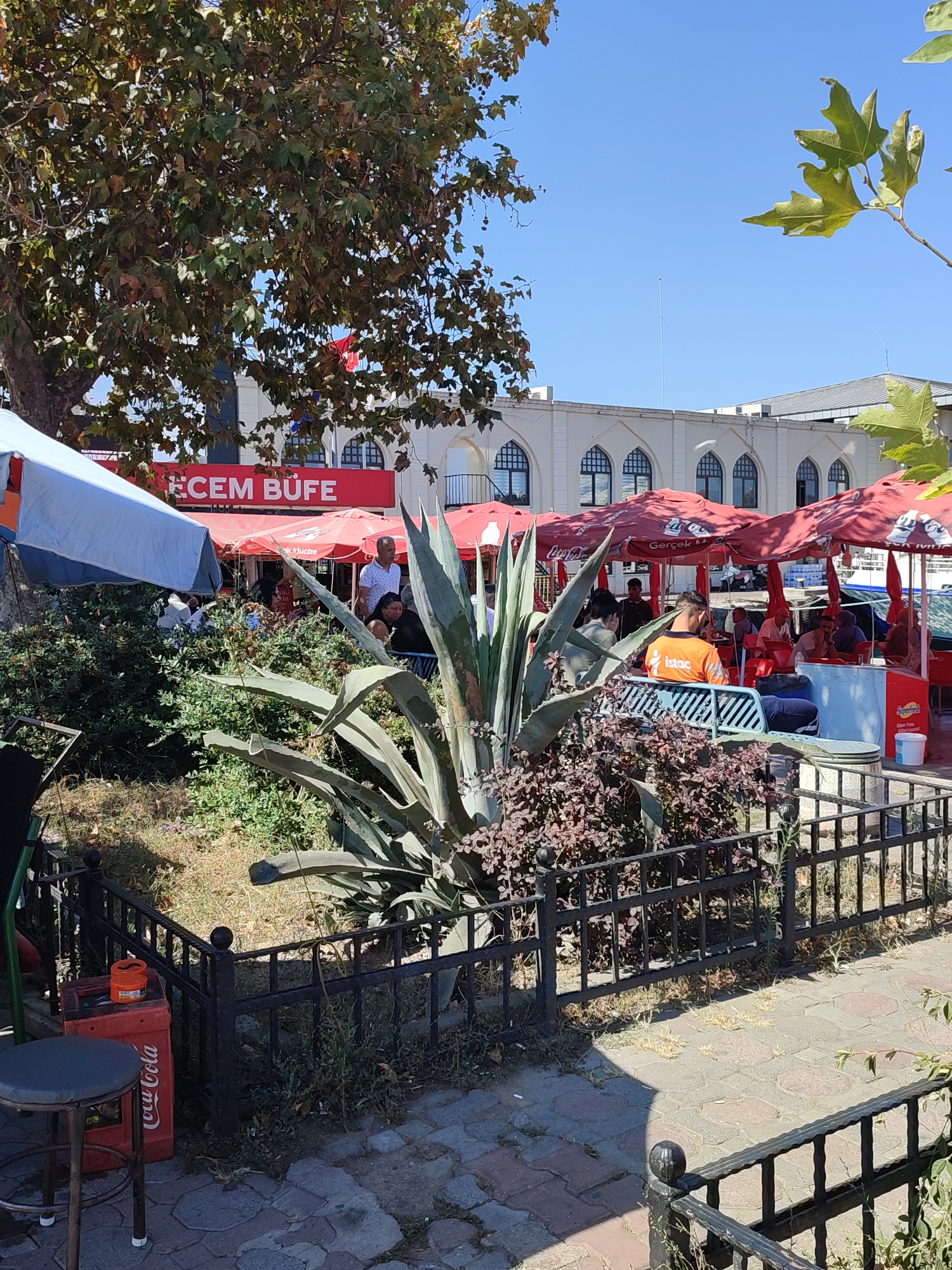 The image depicts an outdoor seating area of a cafe or restaurant, likely located in Kadıköy, Turkey. The scene is bathed in sunlight, indicating a daytime setting. In the foreground, a large agave plant stands prominently, with its spiky leaves reaching upwards. It is partially enclosed by a black metal fence. To the left, a red Coca-Cola crate and a bar stool are visible.
Behind the agave, several tables with red umbrellas are set up, providing shade for patrons. People are seated at these tables, some engaged in conversation, while others appear to be dining. One man, wearing an orange t-shirt with the inscription "iştac," is seated facing away from the camera. Another man, in a white polo shirt, stands near the tables.
In the background, a white building with arched windows is visible, suggesting a building with historical or traditional architecture. The cafe's signage, with the words "ECEM BUFE" in red letters, is also visible on this building. Trees with green and brown leaves are scattered throughout the scene, contributing to the outdoor ambiance. The ground is paved with hexagonal and rectangular stones. The overall atmosphere is relaxed and social, characteristic of a cafe on a pleasant day.