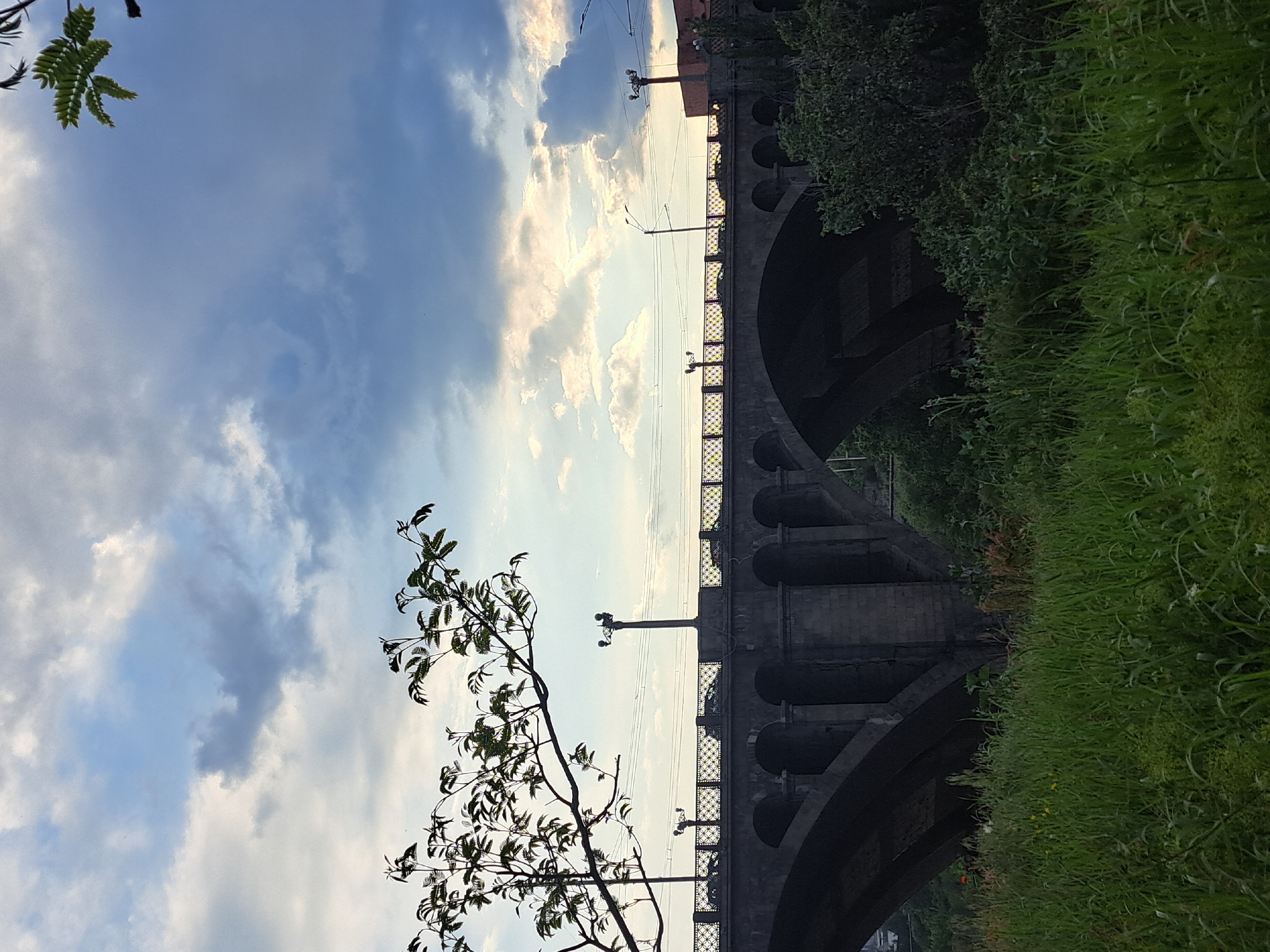 The image shows a view of the Davtashen Bridge in Yerevan, Armenia, captured from a low angle, possibly at ground level. The bridge's concrete arches are visible on the right side of the frame, partially obscured by foliage and grass. Overhead power lines stretch along the bridge structure. A tree with sparse leaves is in the foreground on the left, contrasting with a partly cloudy sky. The scene is lit by natural daylight, suggesting either early morning or late afternoon.