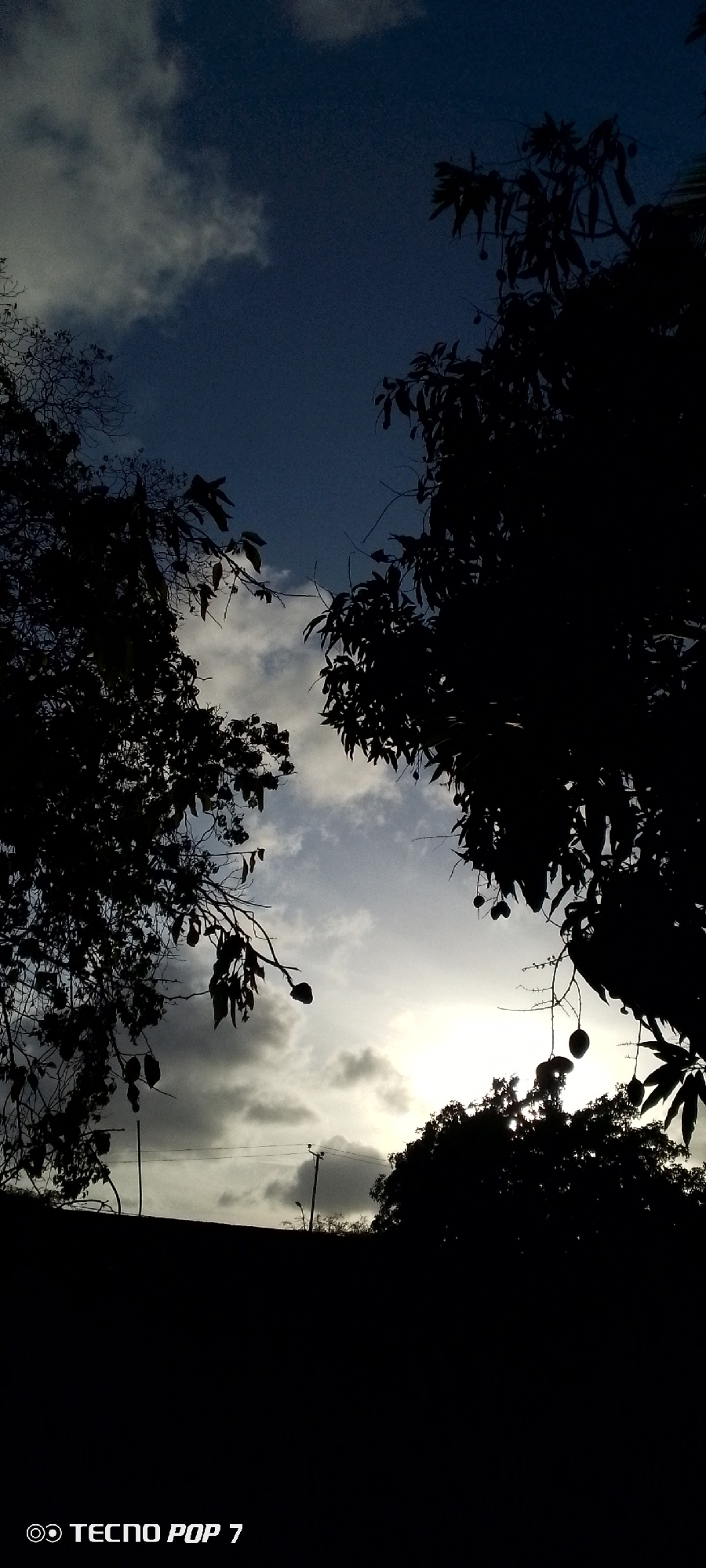 The image, possibly taken in Altagracia, Venezuela, depicts a view looking upwards through trees towards a sky with clouds. The trees are silhouetted against the lighter sky, and some fruit is hanging from branches. Power lines and a street lamp can be seen in the background. The bottom portion of the frame is dark and underexposed.