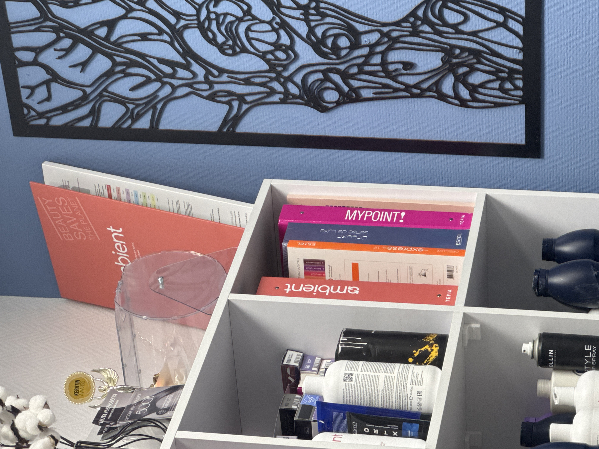 The image shows a close-up of a white storage unit with various items inside. The unit has several compartments containing cosmetics, hair products, and printed materials. Brands like "ESTEL," "TEFIA," and "OLLIN" are visible on the products. A clear plastic container holding money and a "KERATIN AWARDS" coin is placed in front of the unit, with cotton-like decorations nearby. In the background, a blue wall with a black abstract design is visible. Text on the printed materials includes phrases like "BEAUTY SAVES THE PLANET," "MYPOINT!," and "DELUXE express." "LILIYA PUSHKAREVA" and "студия здоровых воло" is also seen on a certificate.
Given the Cyrillic text and product brands, it suggests the scene is likely in Russia, and with "LILIYA PUSHKAREVA," it is also likely associated with a beauty or hair salon, but the exact location cannot be determined from this image.