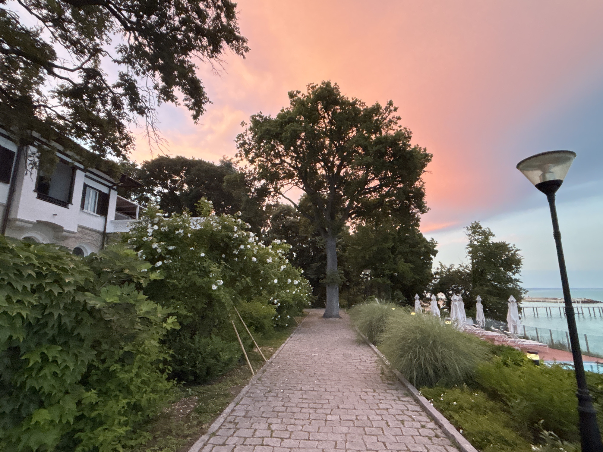 This image captures a scenic view of a pathway leading towards a body of water, possibly the Black Sea, with a vibrant sunset painting the sky in hues of pink and orange. The pathway itself is paved with cobblestones and flanked by lush green vegetation, including trees and bushes with white flowers. To the left, a white building with dark-trimmed windows is partially visible, suggesting a resort or hotel. In the background, white beach umbrellas are arranged, hinting at a recreational area. A modern street lamp stands on the right side of the pathway, illuminated against the twilight sky. The location is identified as Varna, Bulgaria, a coastal city known for its beautiful beaches and seaside resorts. The scene depicts a tranquil evening atmosphere, with no people visible in the frame.