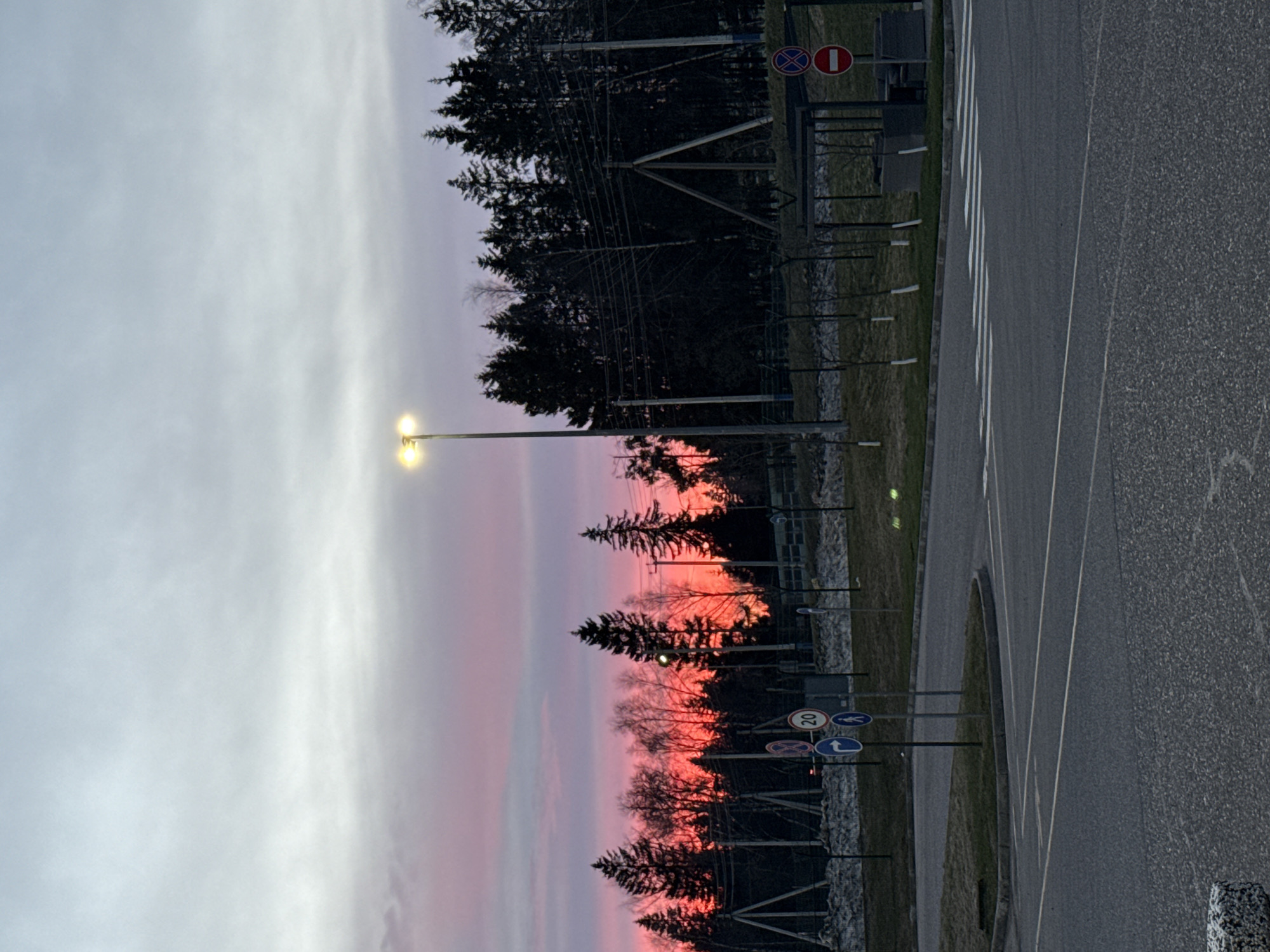 The image depicts a road in Lupanovo, Russia. The road is paved with asphalt and features painted white lines, indicating a crosswalk. Adjacent to the road is a grassy area separated by a low metal fence. Behind the fence, there are several trees with dark silhouettes against a sunset sky that transitions from white to shades of pink and red. A street light illuminates the scene. Various road signs are visible along the edge of the road. Overhead power lines are strung amongst the trees. The photograph is oriented in a vertical format.