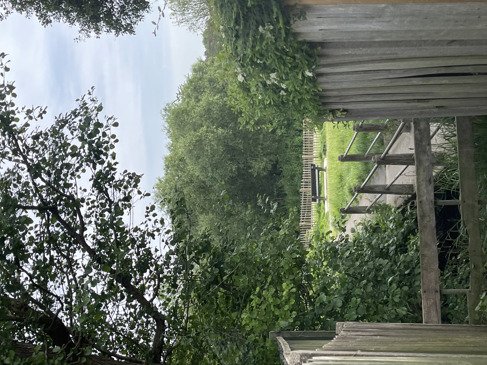 The image depicts a scene in Maidstone, United Kingdom. It shows a bridge or walkway with wooden railings and flooring, set against a backdrop of greenery, including trees and bushes. A fence is visible beyond the bridge, indicating a boundary or perimeter. The sky is partly cloudy. The perspective suggests the photo was taken from an elevated position looking down towards the bridge and landscape.