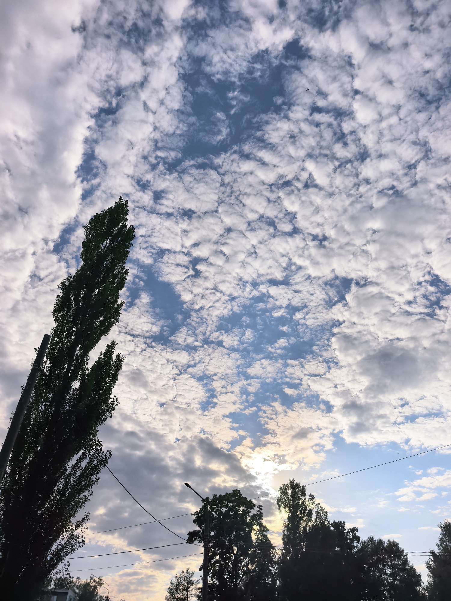 The image depicts a sky filled with scattered cumulus clouds against a blue sky, with a hint of the sun peeking through the clouds on the right side, suggesting either sunrise or sunset. In the foreground, silhouetted trees and power lines are visible. A tall, slender tree stands prominently on the left, its dark green foliage sharply contrasted against the sky. On the right, a street lamp is partially visible, along with other trees and buildings in the lower portion of the frame. The image appears to be taken from a ground-level perspective, looking upwards. The presence of power lines and street lamps suggests an urban or suburban setting. Without further information, it is impossible to definitively identify the specific location within Sterlitamak, Russia, though the general elements are consistent with a typical city landscape.