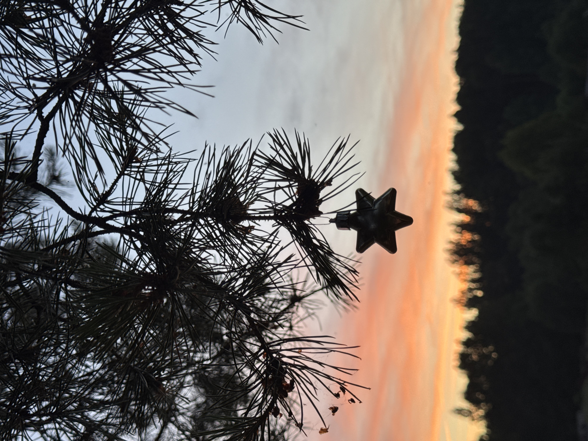 An ornament shaped like a five-pointed star hangs from a pine tree branch, silhouetted against a sunset sky. The sky transitions from a pale blue at the top to a vibrant orange and pink near the horizon. Below the sky, a dark, blurred line of trees forms the silhouette of a forest. The image is taken outdoors in Maksimovo, Russia, during twilight.
