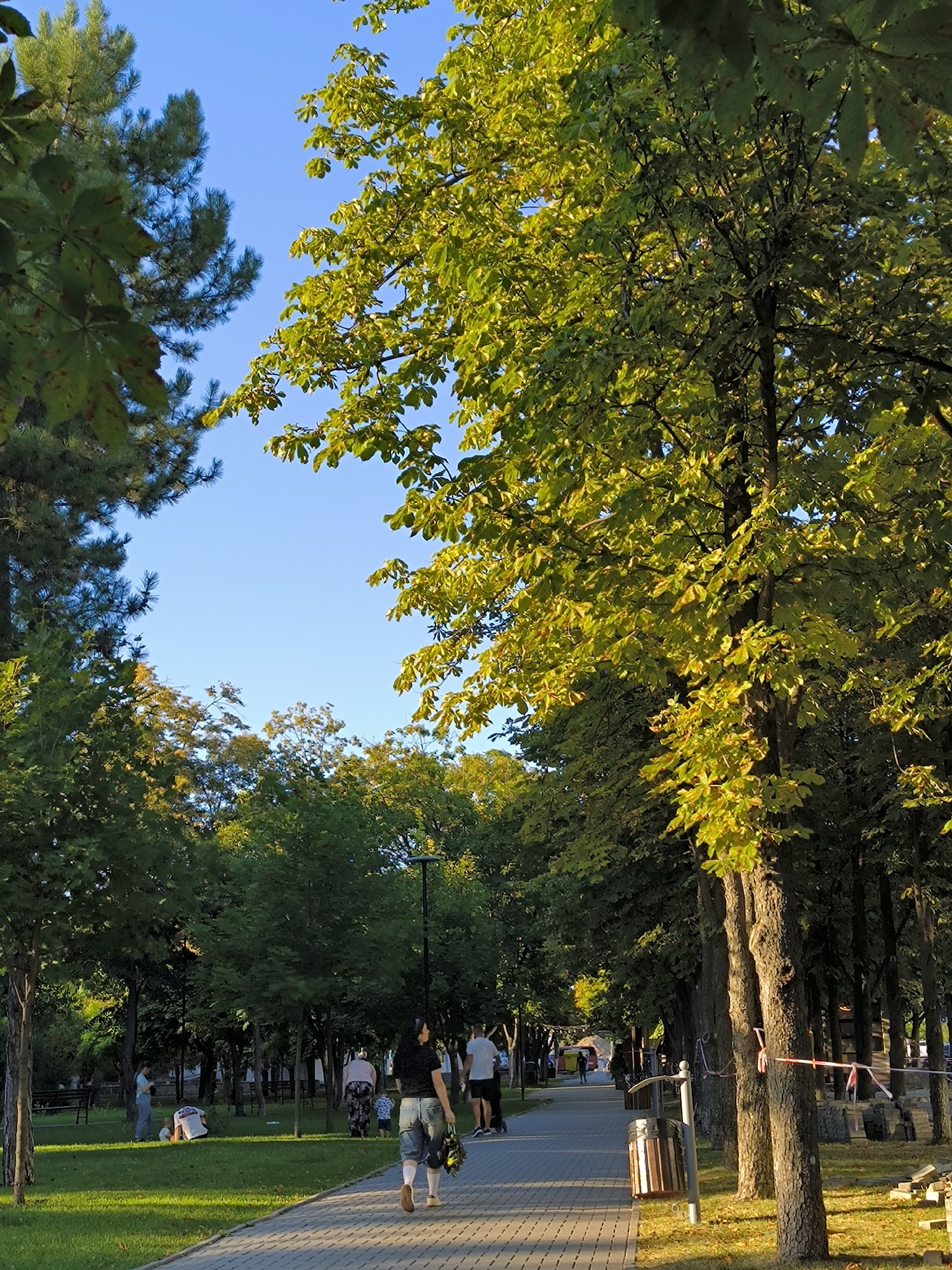 The image depicts a tree-lined park pathway in Chișinău, Moldova, bathed in the warm light of late afternoon sun. On the left, a grassy area is occupied by a few people, including a woman in a light blue top and dark pants standing near a bench and a child playing on the grass. Further down the path, a woman in a black top and denim shorts walks away from the camera, carrying a bouquet of yellow flowers in her right hand and a bag in her left. Behind her, another woman with curly hair and a patterned skirt walks with a young child. A man in a white t-shirt and black shorts pushes a stroller.
The pathway itself is paved with light grey interlocking bricks, bordered by grass on the left and a row of trees on the right. The trees, some with lush green foliage and others with leaves beginning to turn yellow, create a canopy overhead, with sunlight filtering through. In the background, more trees and park benches are visible.
On the right side of the path, construction materials are stacked near a row of mature trees with rough bark. A trash receptacle stands beside the pathway, and a lamppost is visible further down. A red and white tape is strung between some of the trees on the right, possibly indicating a restricted area. The sky is a clear, bright blue. The scene suggests a peaceful, everyday moment in a public park, with a mix of leisure and the presence of ongoing work.
