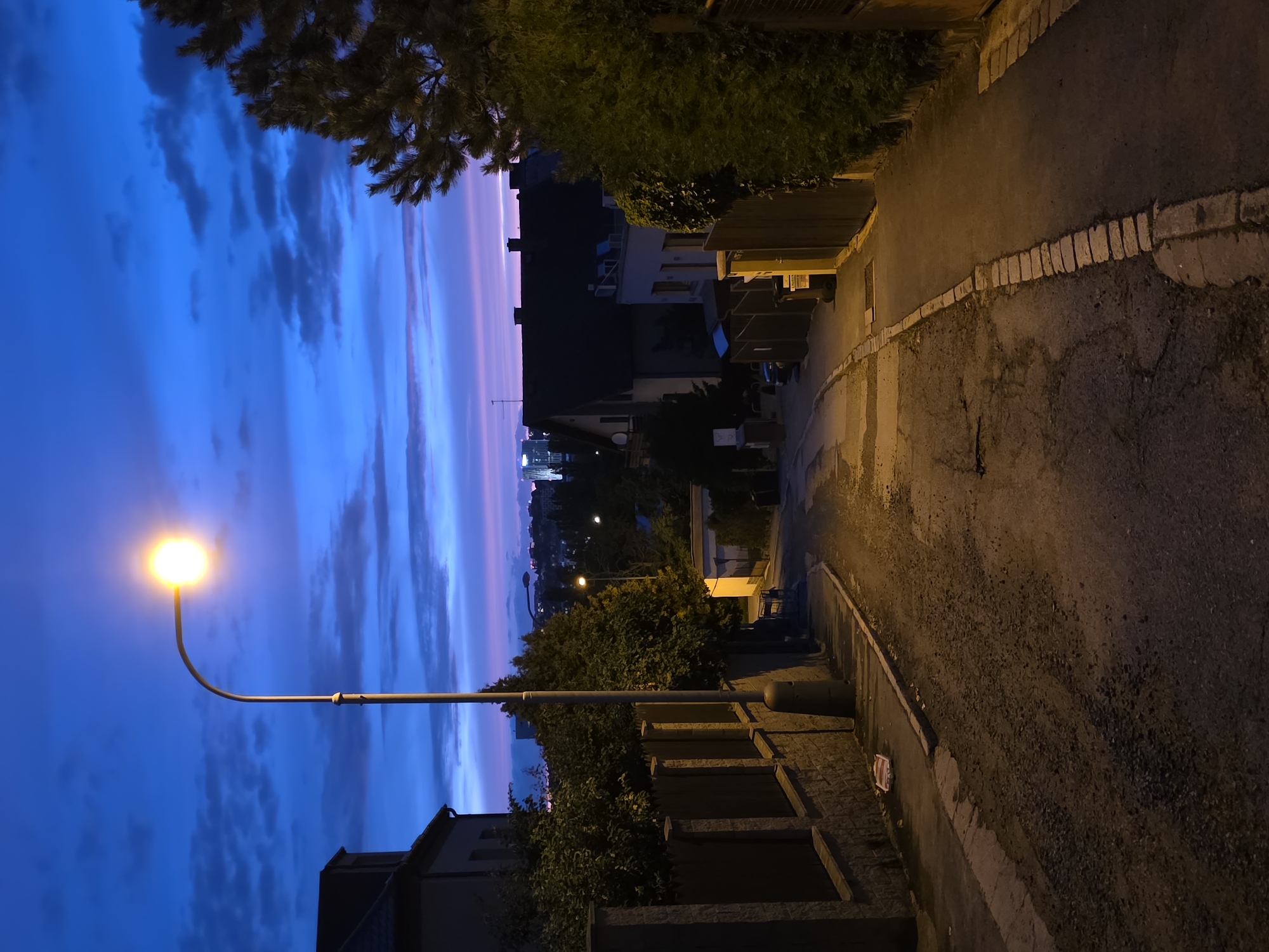 A street lamp illuminates a quiet, downward-sloping street in an urban residential area at dusk. The sky is a deep blue with scattered clouds, tinged with pink and purple near the horizon. Houses with dark roofs line the street, bordered by stone walls and lush green hedges. The road surface is uneven asphalt, with a cobblestone-like border on the right side. In the distance, city buildings are visible, bathed in the fading light. A few distant streetlights and the glow of the sky suggest a city setting. No people are present in the image.