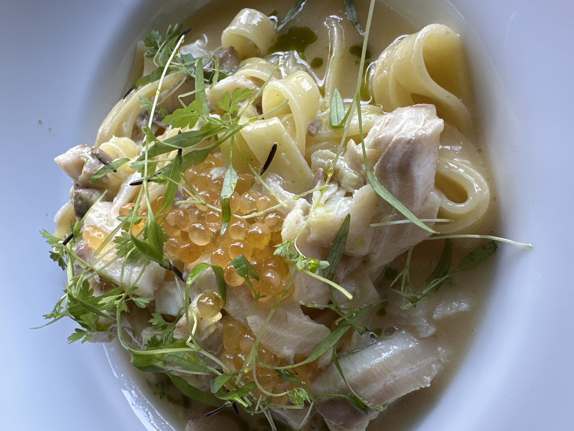 A close-up, high-angle shot shows a plate of pasta with fish and roe, likely from a restaurant in Tremezzina, Italy. The dish features wide, flat pasta, tender white fish flakes, and vibrant orange roe, all coated in a light, creamy sauce. Fresh green microgreens are scattered generously over the top, adding a touch of color and texture. The white ceramic plate is visible around the edges, suggesting an elegant presentation. The lighting is natural and soft, indicating an indoor setting with ample daylight. The focus is sharp on the food, highlighting its textures and colors, with a slight blur in the background.