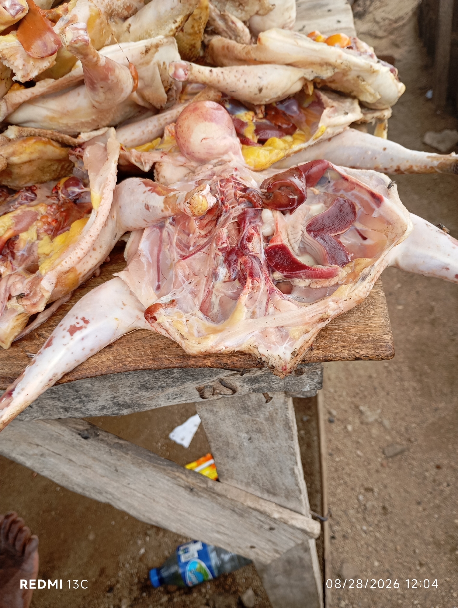 In Shendam, Nigeria, a close-up, high-angle shot captures an assortment of butchered chickens laid out on wooden planks. The chickens are displayed with their internal organs visible, revealing textures and colors of raw meat and entrails. The surrounding environment appears to be an outdoor market or roadside stall, with a sandy ground and weathered wooden structures. A plastic bottle and discarded food wrappers are visible on the ground, suggesting a public space. The overall scene depicts the commercial preparation and display of poultry in a market setting.