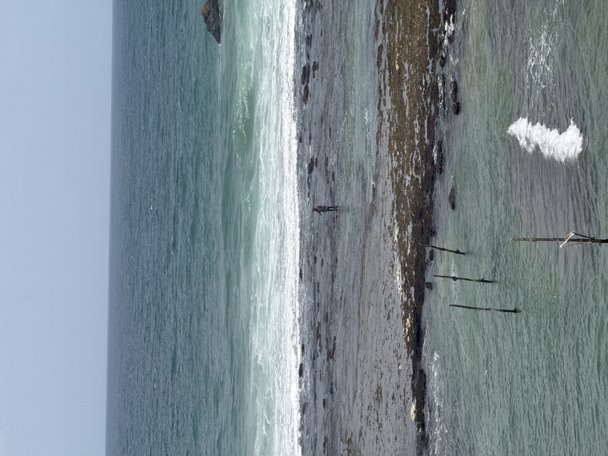 A wide shot captures a person fishing in the ocean near Goviyapana, Sri Lanka. The person, small in the frame, stands in shallow water on a rocky, exposed seabed. Waves crash against the shore, creating a line of white foam that contrasts with the darker ocean water. The horizon is visible in the distance, where the sea meets a pale, overcast sky. Several wooden posts are partially submerged in the water in the foreground, suggesting a traditional fishing method. The overall scene is one of solitary activity in a natural coastal environment.