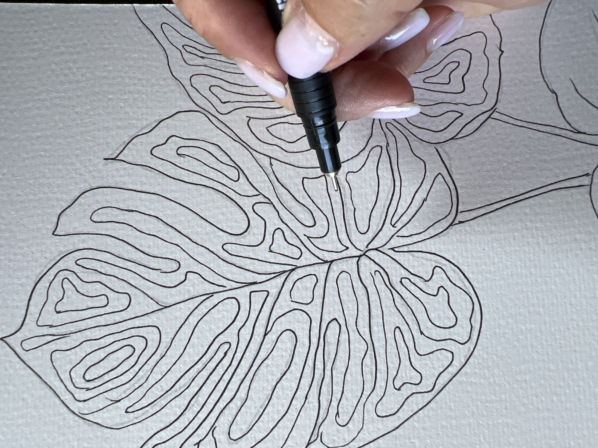 An extreme close-up shot shows a person's right hand holding a black fine-tipped pen and drawing on a textured light gray paper. The pen is actively drawing a thin, black line that follows the contours of a stylized leaf, which is composed of many nested, curved lines. The leaf appears to be part of a larger botanical illustration. The person's fingernails are painted with a pale iridescent pink and white polish. The background is out of focus and appears to be a plain surface. The location is unknown.