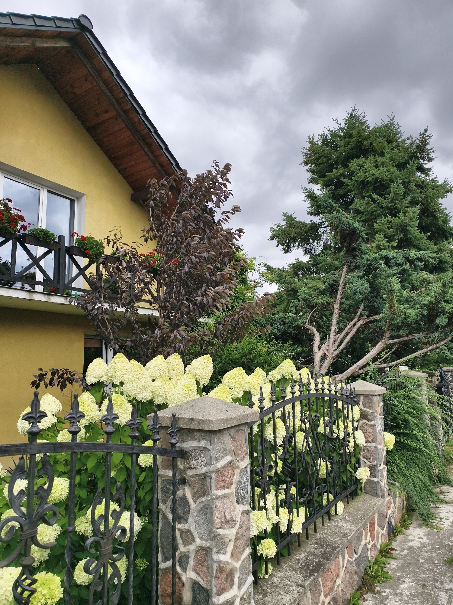 The image depicts a section of a house in Tczew, Poland, featuring a yellow facade, a wooden-shingled roof, and a balcony with red flowers. A wrought-iron fence with ornate scrollwork separates the property from a sidewalk and a stone retaining wall. Lush greenery, including a large conifer tree and flowering hydrangeas, dominates the foreground and middle ground. The sky is overcast with dark, heavy clouds, suggesting impending rain or a storm. There are no people or animals visible in the image.