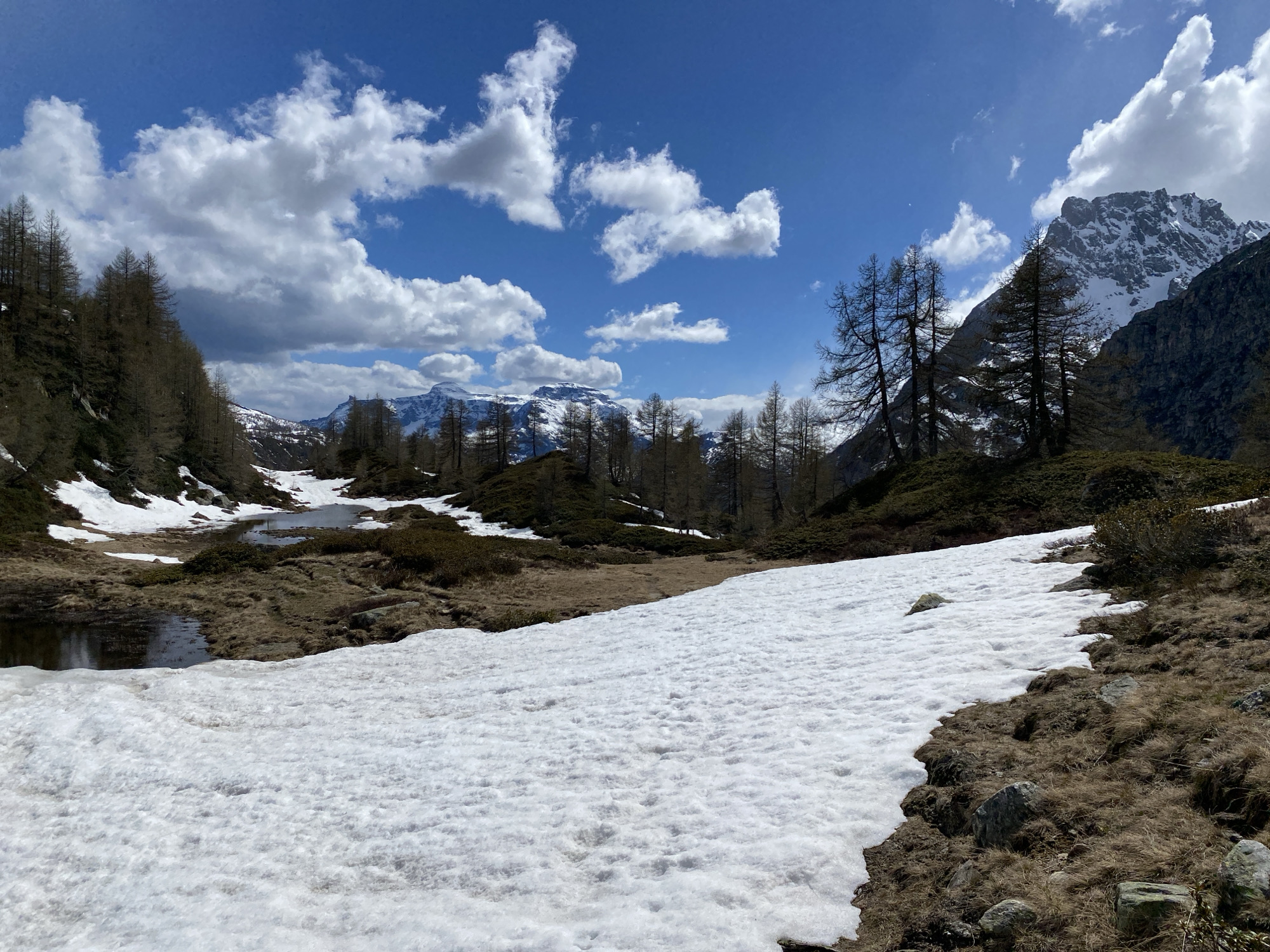 The image depicts a mountainous landscape in Baceno, Italy, characterized by a mix of snow-covered areas, bare ground, and bodies of water. The foreground is dominated by a field of snow that transitions into a landscape of brown vegetation and small pools of water. Scattered trees are visible throughout the scene, some with bare branches. In the background, snow-capped mountains rise against a blue sky dotted with puffy white clouds. The lighting suggests a bright, sunny day.