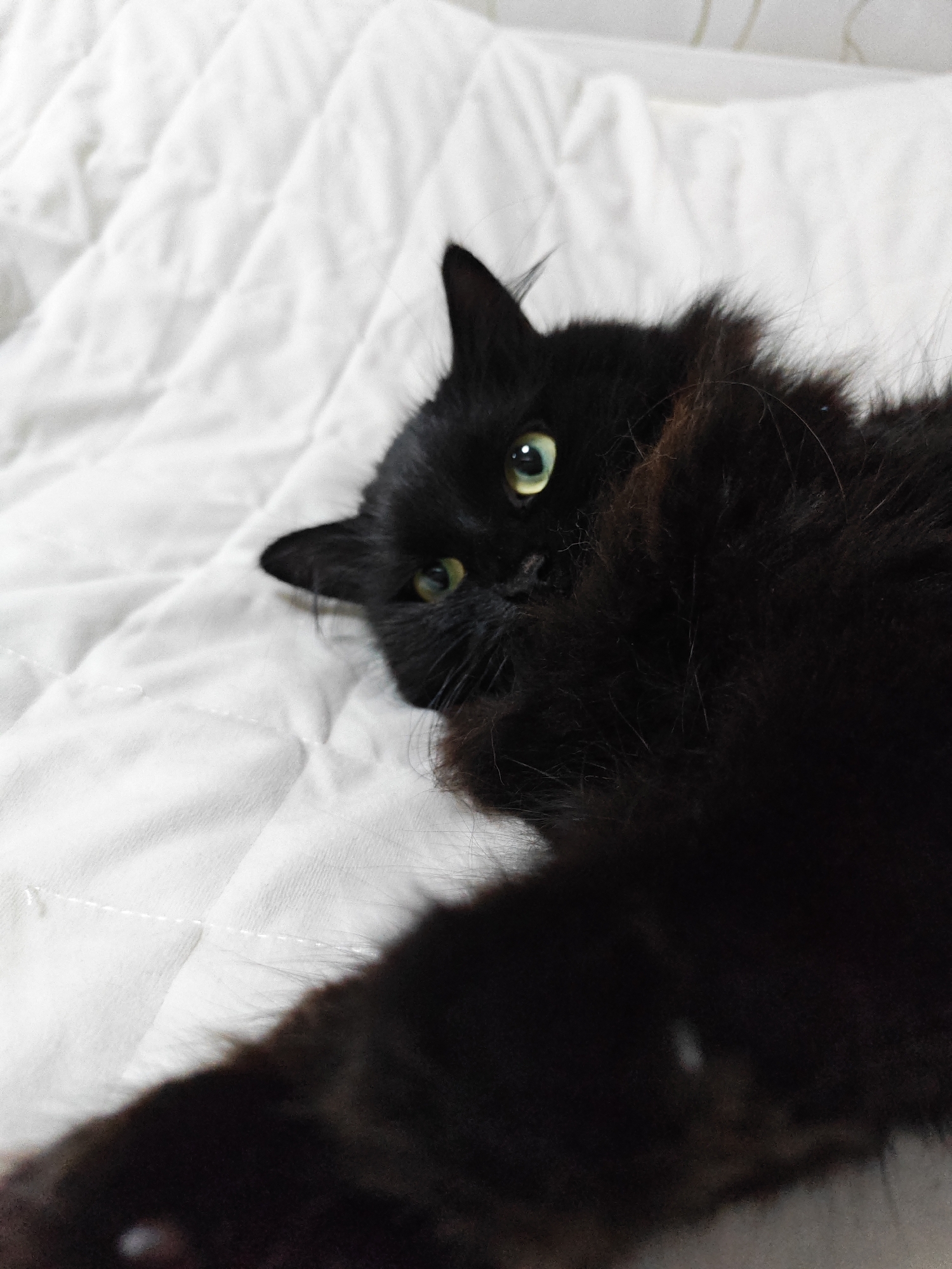 A black cat with green eyes is lying on a white quilted blanket. The cat's head is turned to the side, and its body extends out of frame. The blanket has a textured surface with visible stitching. The lighting is soft and appears to be natural. The scene is indoors, as indicated by the blanket. The location is Unknown, Unknown.