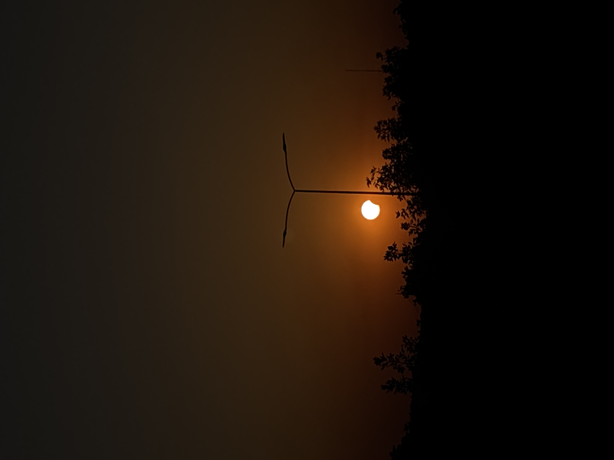 A street lamp stands silhouetted against a hazy orange sky as the sun, partially eclipsed, is visible behind a line of dark trees and foliage. The scene is low-light, suggesting either sunrise or sunset. The horizon is obscured by the silhouettes of trees. No people or vehicles are visible. The image appears to be taken outdoors, possibly in a park or along a road. The time of day is indeterminate due to the atmospheric conditions and partial solar eclipse.
