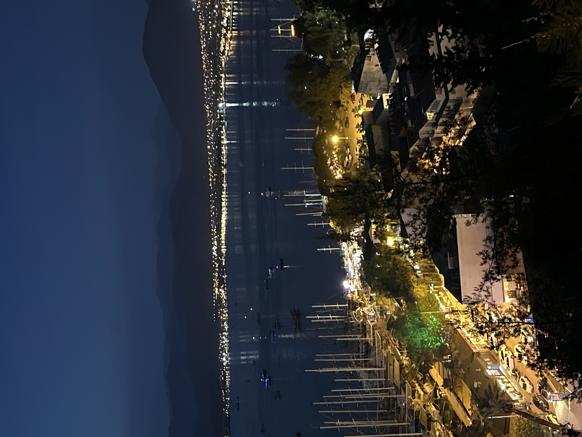 The image shows a nighttime view of Fethiye, Turkey, from an elevated position. The scene captures the coastline with city lights reflecting on the water, defining the edge of the opposite shore. In the foreground, there are illuminated buildings, streets, and moored sailboats, suggesting a marina or harbor area. Dense trees and branches partially obscure the view, framing the cityscape. The sky is a deep blue, transitioning into the darker silhouettes of mountains. The scene suggests a lively atmosphere, potentially capturing the waterfront during an evening hour.
