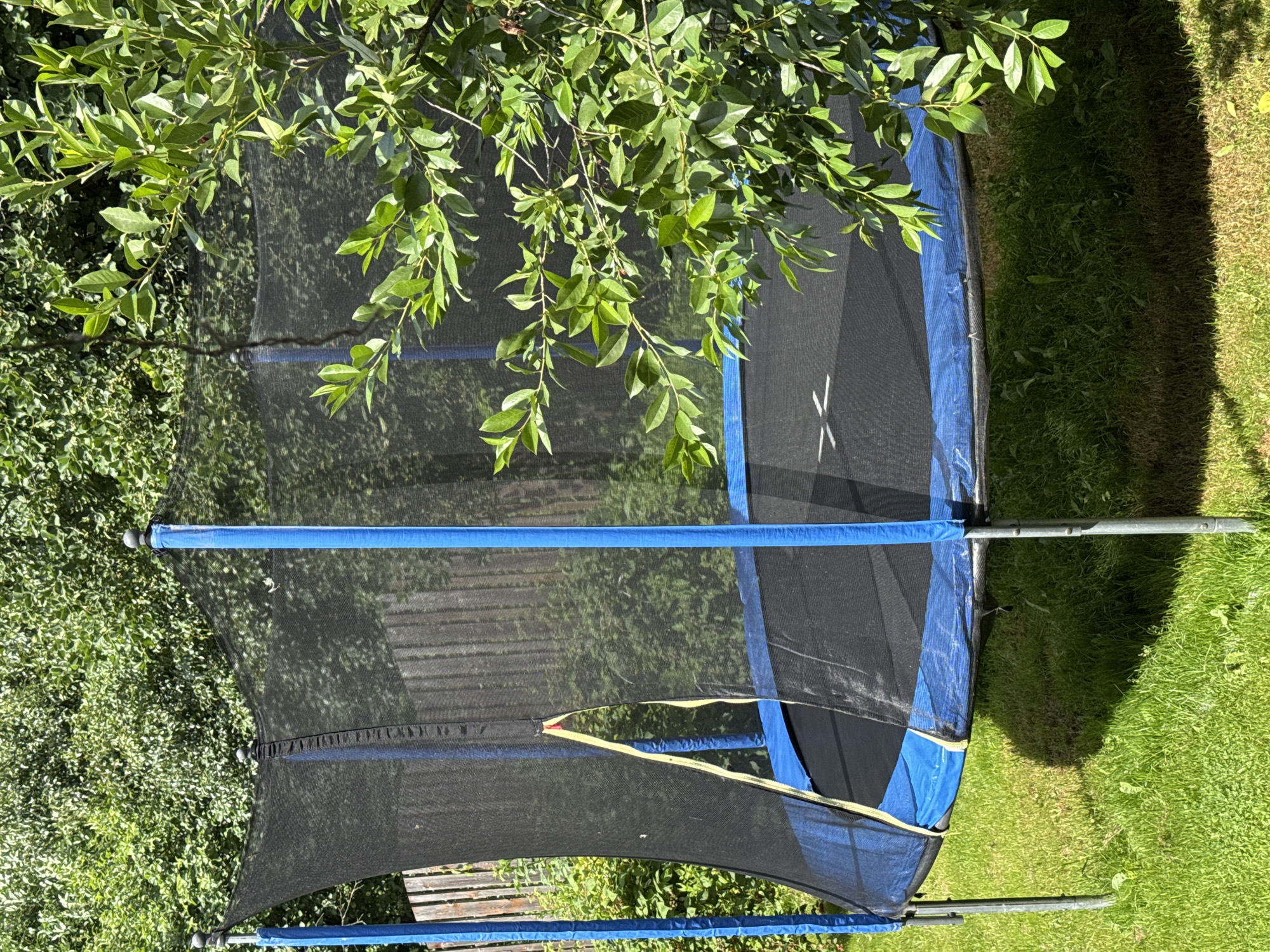 A trampoline with a black jumping mat and blue padding is situated on a grassy lawn outdoors. The trampoline is enclosed by a black safety net attached to blue poles. A wooden fence is visible in the background, partially obscured by greenery. Lush trees and bushes surround the trampoline, indicating a natural or garden setting. The scene is illuminated by sunlight, casting a shadow on the grass. The image is a photograph taken from a slightly elevated angle. The location is specified as Bersenevka, Russia.