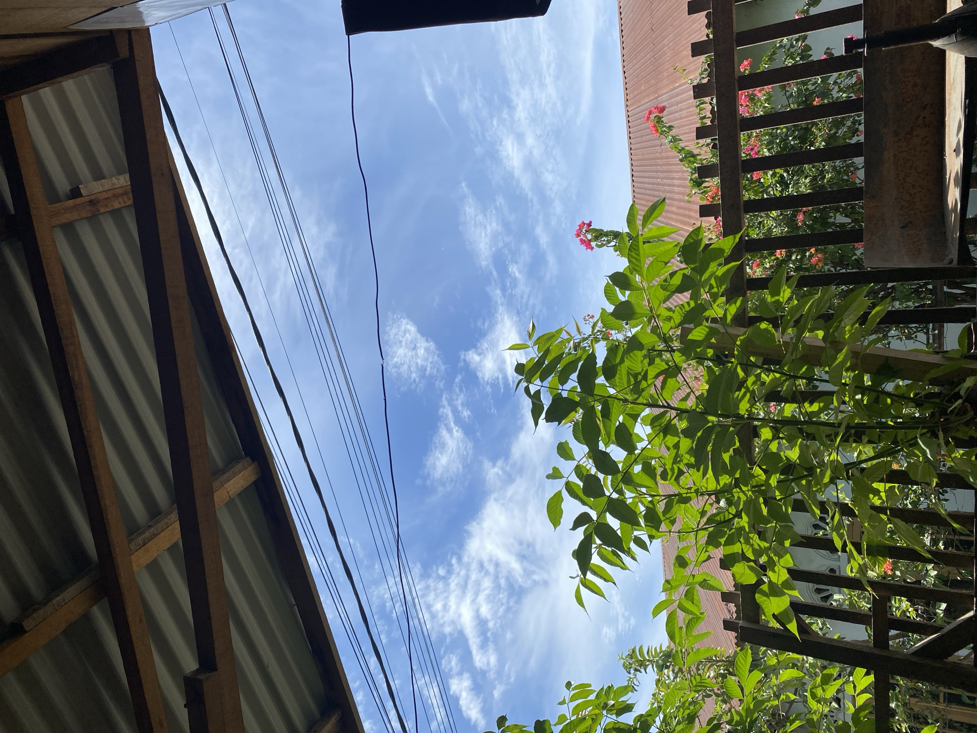 The image shows a view from under a corrugated metal roof supported by wooden beams, looking out towards a blue sky with wispy white clouds. Overhead, several black electrical wires are strung across the frame. In the foreground, lush green leaves of a plant are prominent. Beyond the foliage, a rustic wooden fence runs horizontally. Behind the fence, a building with a reddish-brown corrugated metal roof is visible, with some pink flowers blooming on a vine. The overall impression is of an outdoor scene in a residential area. The location is specified as Bayu, Indonesia. There are no people or actions depicted in the image.
