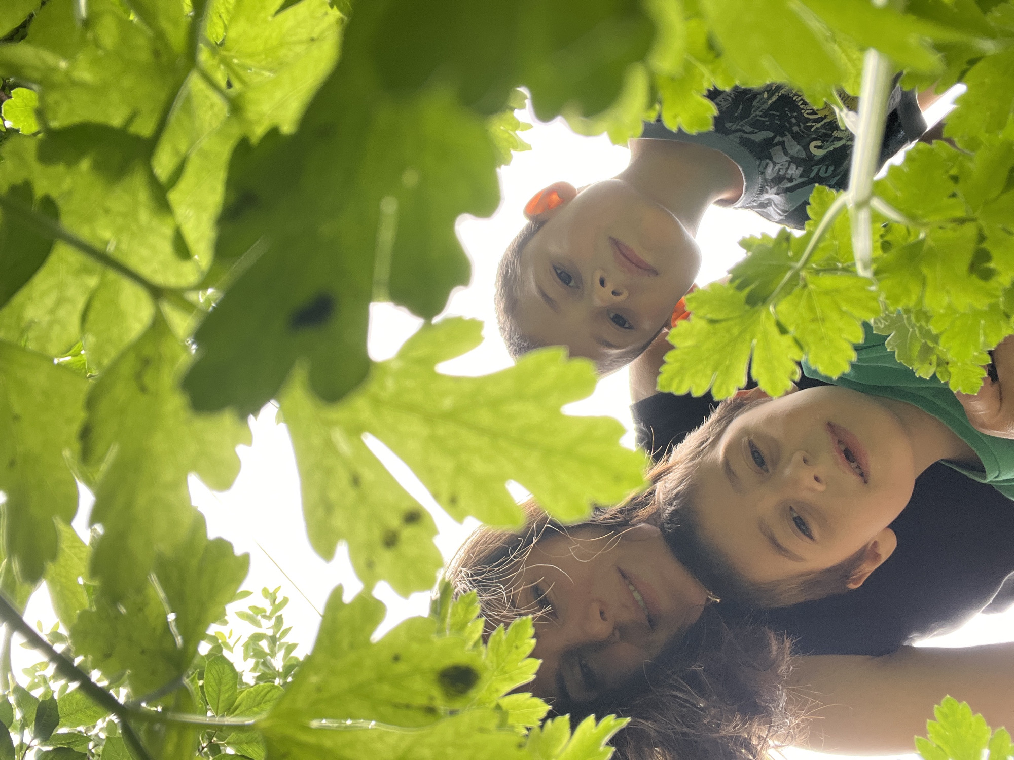 A low-angle shot captures a mother and two young boys looking up through bright green foliage. The mother is in the foreground on the left, with her head tilted back and a subtle smile. To her right, one boy with short brown hair looks directly at the camera with wide eyes. Behind them, another boy with similar hair is partially visible, also looking upwards. The scene is outdoors, possibly in a park or garden, with sunlight filtering through the leaves, creating a dappled effect. There is no identifiable information regarding the location being Kaspiysk, Russia.