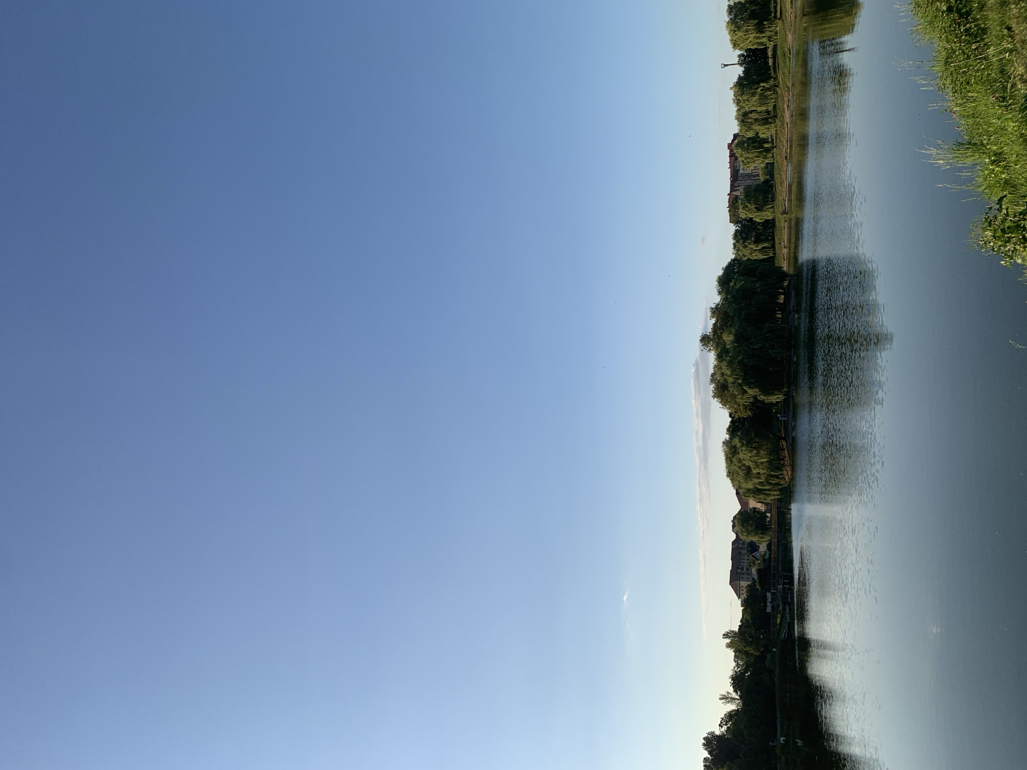The image depicts a serene natural landscape with a body of water in the foreground, reflecting the clear blue sky and surrounding greenery. On the far bank of the water, there is a line of trees, some of which are weeping willows, and beyond them, buildings are visible. The sky is predominantly clear, with a few wispy clouds near the horizon. The overall atmosphere is peaceful and tranquil, suggesting an outdoor recreational area within a city. This scene is located in the city of Kolomyia, Ukraine.