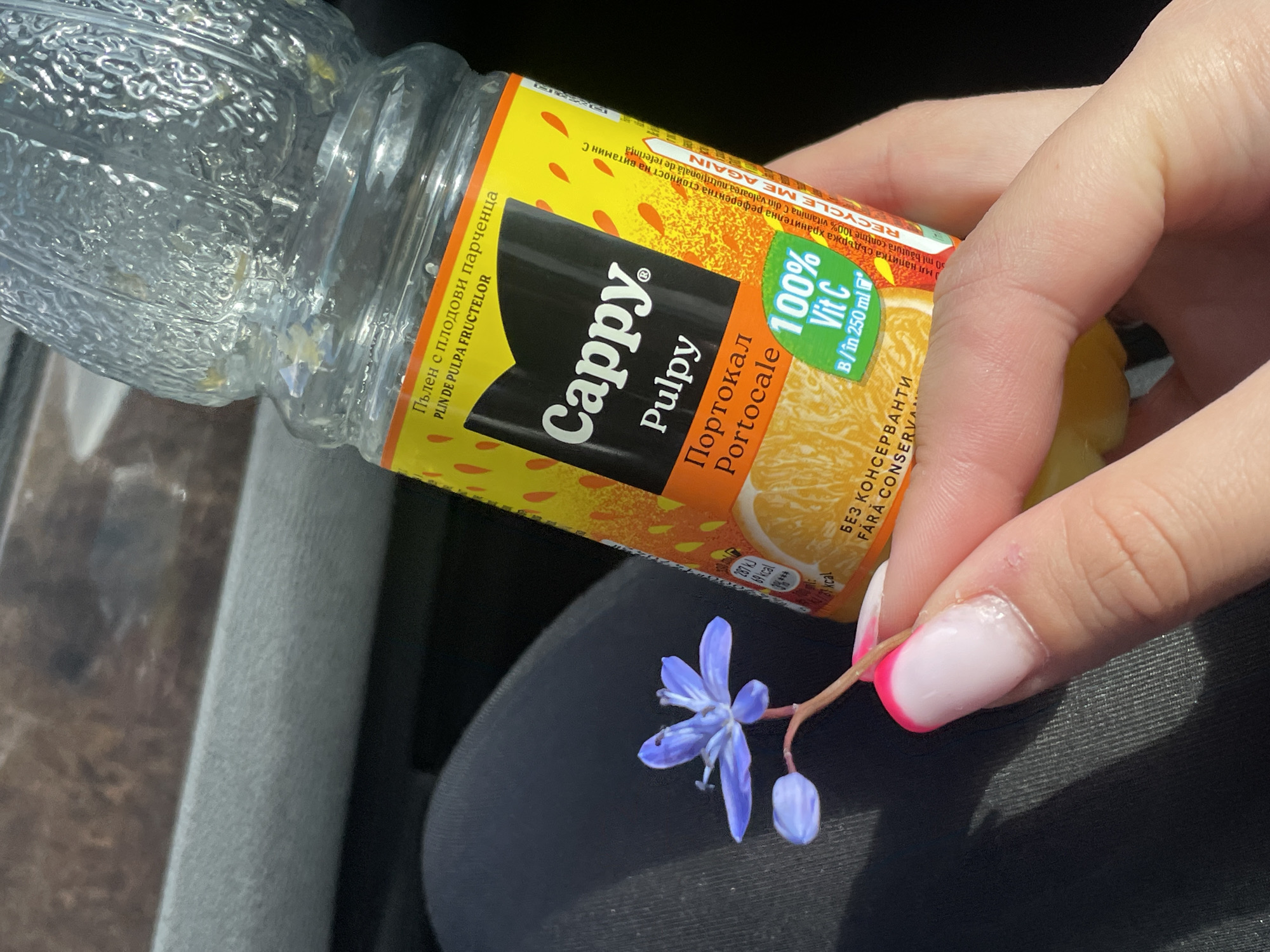 The image shows a hand holding a Scilla bifolia flower next to a bottle of Cappy Pulpy orange juice. The juice bottle is labeled in multiple languages, including Bulgarian and Romanian, with the phrases "Пълен с плодови парченца" and "PLIN DE PULPA FRUCTELOR," respectively, indicating that it contains fruit pulp. The label also indicates "100% Vit C" and mentions recycling information ("RECYCLE ME AGAIN"). The hand has painted nails with a white and pink design. The background includes a gray surface and a black textured material, potentially car upholstery. The image suggests an outdoor setting, possibly in Balkanets, Bulgaria, based on the Cyrillic text on the juice bottle.