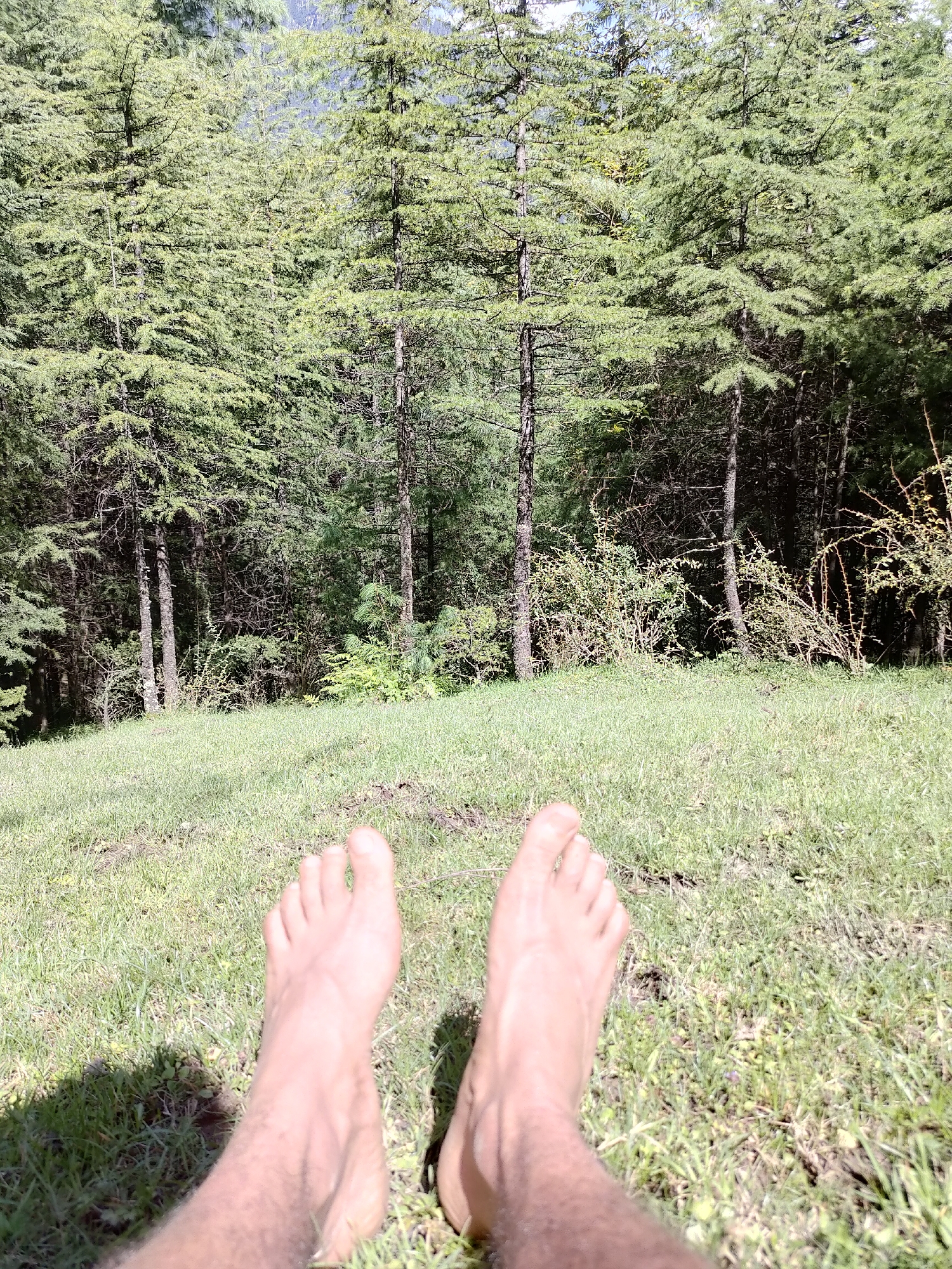 The image shows a pair of bare feet resting on a grassy slope with a dense forest of pine trees in the background. The trees appear to be tall and are lit by sunlight, casting shadows on the ground. The grass is green and appears to be a natural, uncultivated area. The scene suggests an outdoor setting, likely in a natural or semi-natural environment. The location is identified as Manali, India.