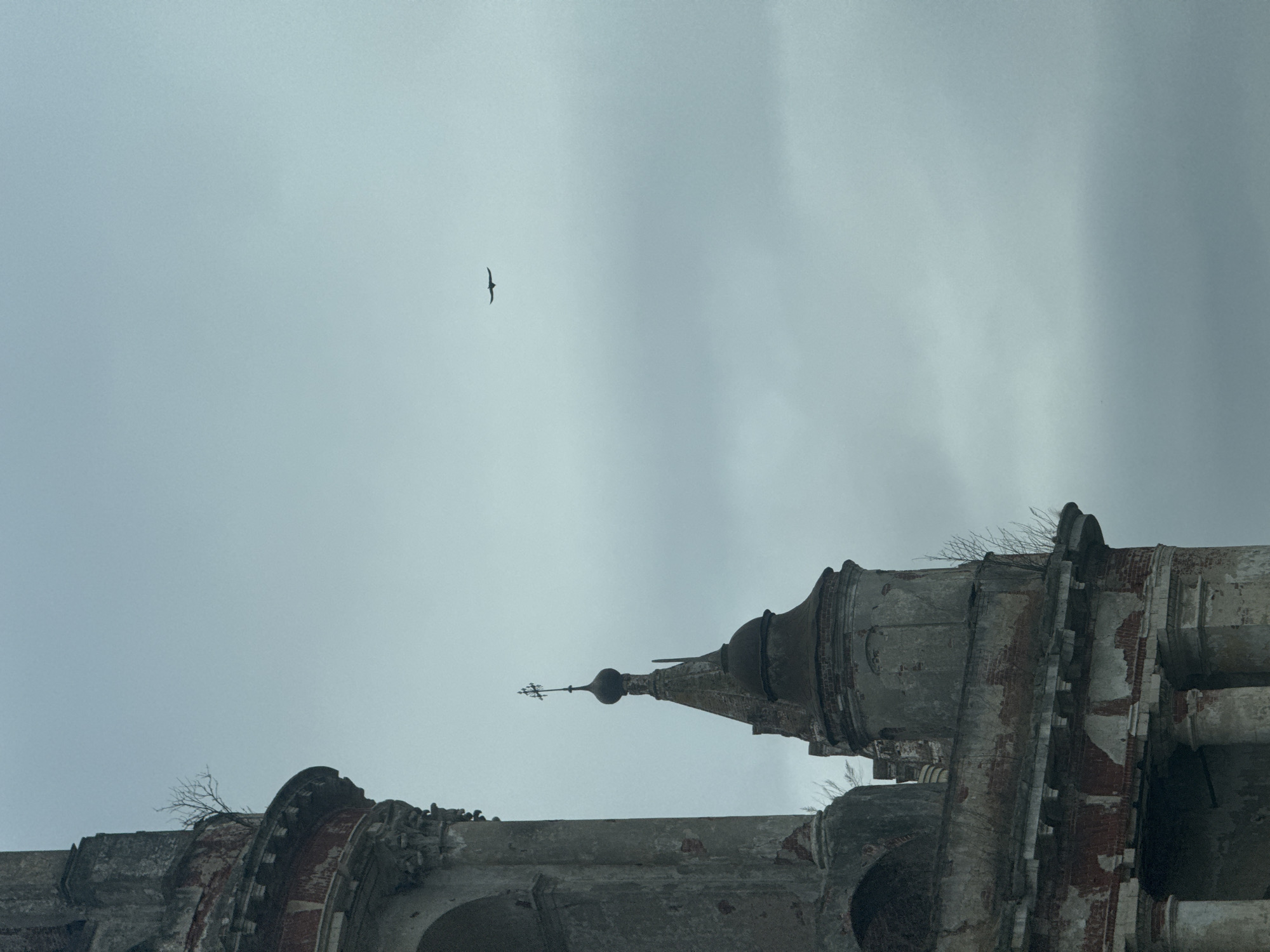 The image shows the partially ruined Church of the Life-Giving Trinity in the village of Kladovitsy, Russia, against an overcast sky. A bird is flying in the upper left quadrant. The church’s structure is decaying, with exposed brick and crumbling plaster. The image is a low-angle shot.