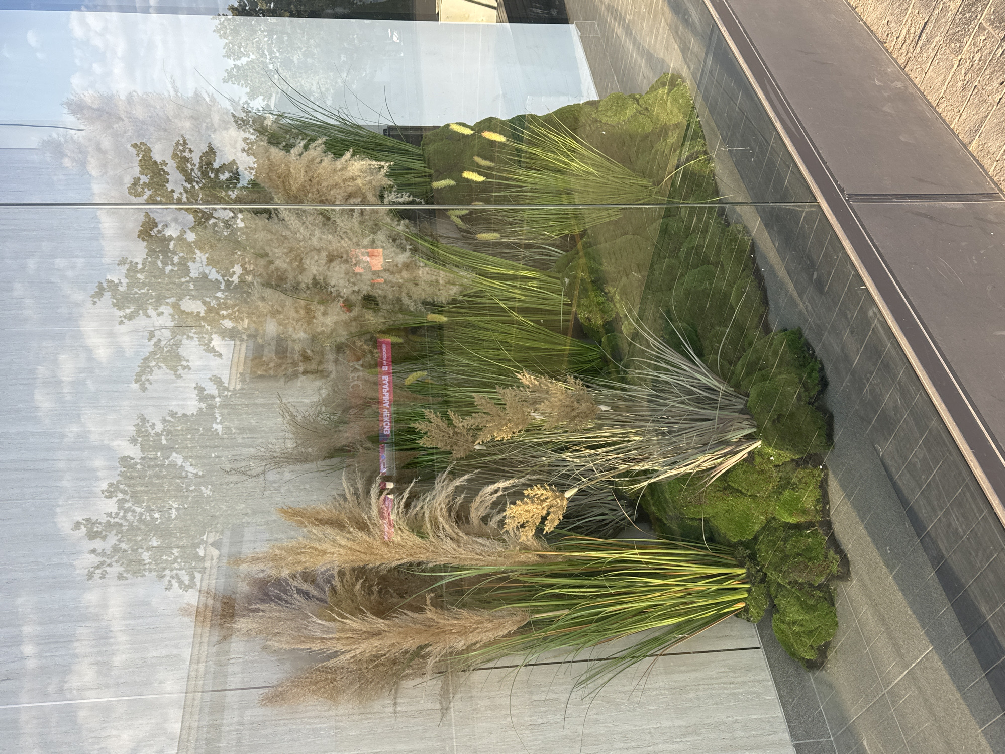The image shows a window display of an establishment located in Bishkek City, Kyrgyzstan. The display features an arrangement of dried pampas grass, green reeds, and moss on a raised platform, creating a naturalistic scene. The glass window reflects the sky, clouds, and trees, partially obscuring the display. The ground in front of the window is paved with dark grey tiles. The display appears to be part of a shop or business, suggesting it is a commercial area. There are no people visible in the image.