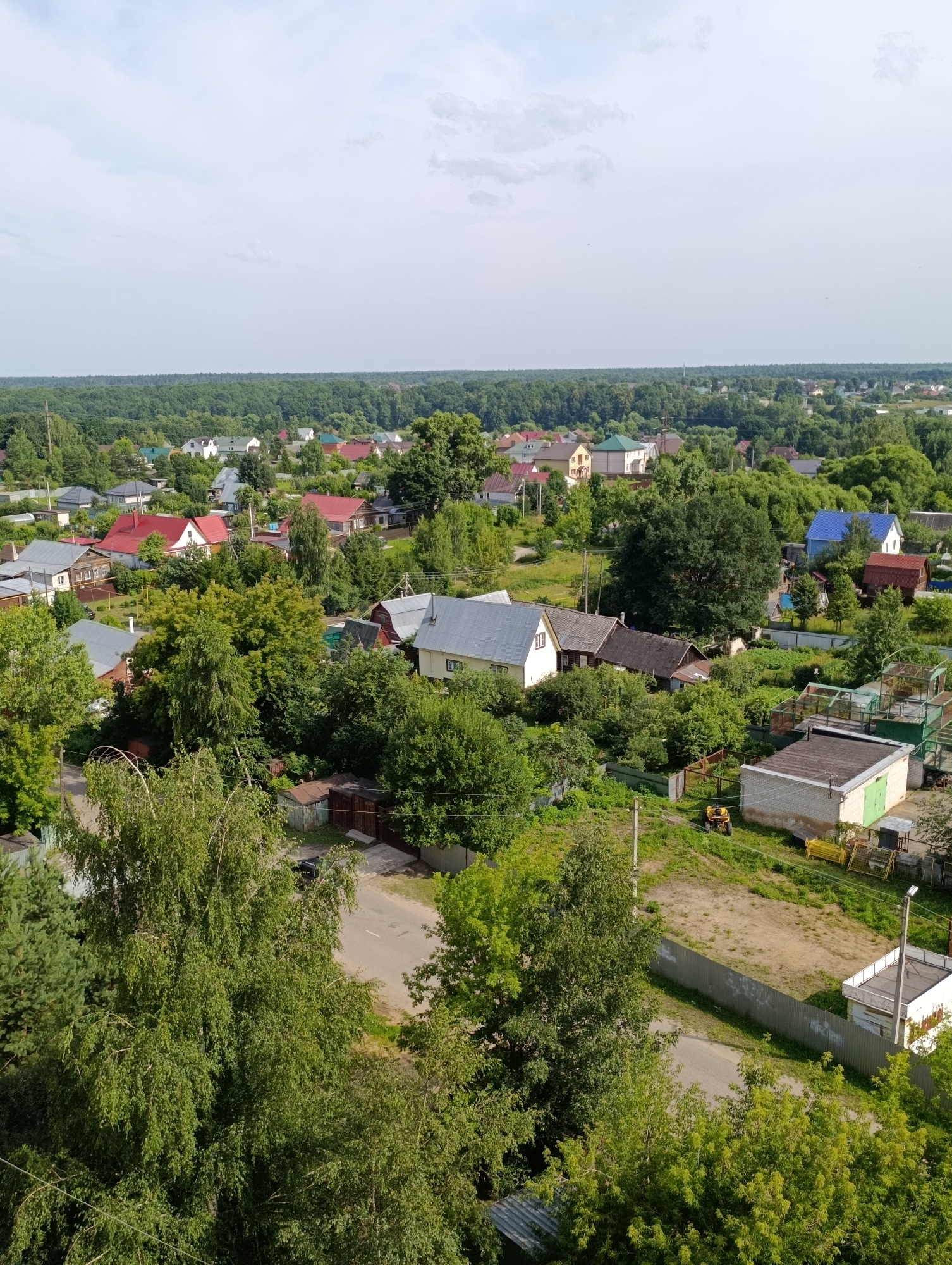 An aerial, eye-level medium shot captures a panoramic view of a rural village on a clear, overcast day. The village, identified as Alexandrov, Russia, is nestled amongst dense, green foliage. Rows of houses with red, grey, and white roofs are scattered throughout the landscape, interspersed with tall trees and lush vegetation. A paved road winds through the village, bordered by fences and more greenery. In the foreground, a large birch tree with delicate green leaves dominates the left side of the frame, its branches extending towards the sky. The background is filled with a continuous line of dark green trees, suggesting a vast forest bordering the settlement. The sky is a pale grey, with a few wispy white clouds scattered across it, indicating fair weather. The overall scene depicts a tranquil, suburban environment, characterized by its natural surroundings and residential structures.