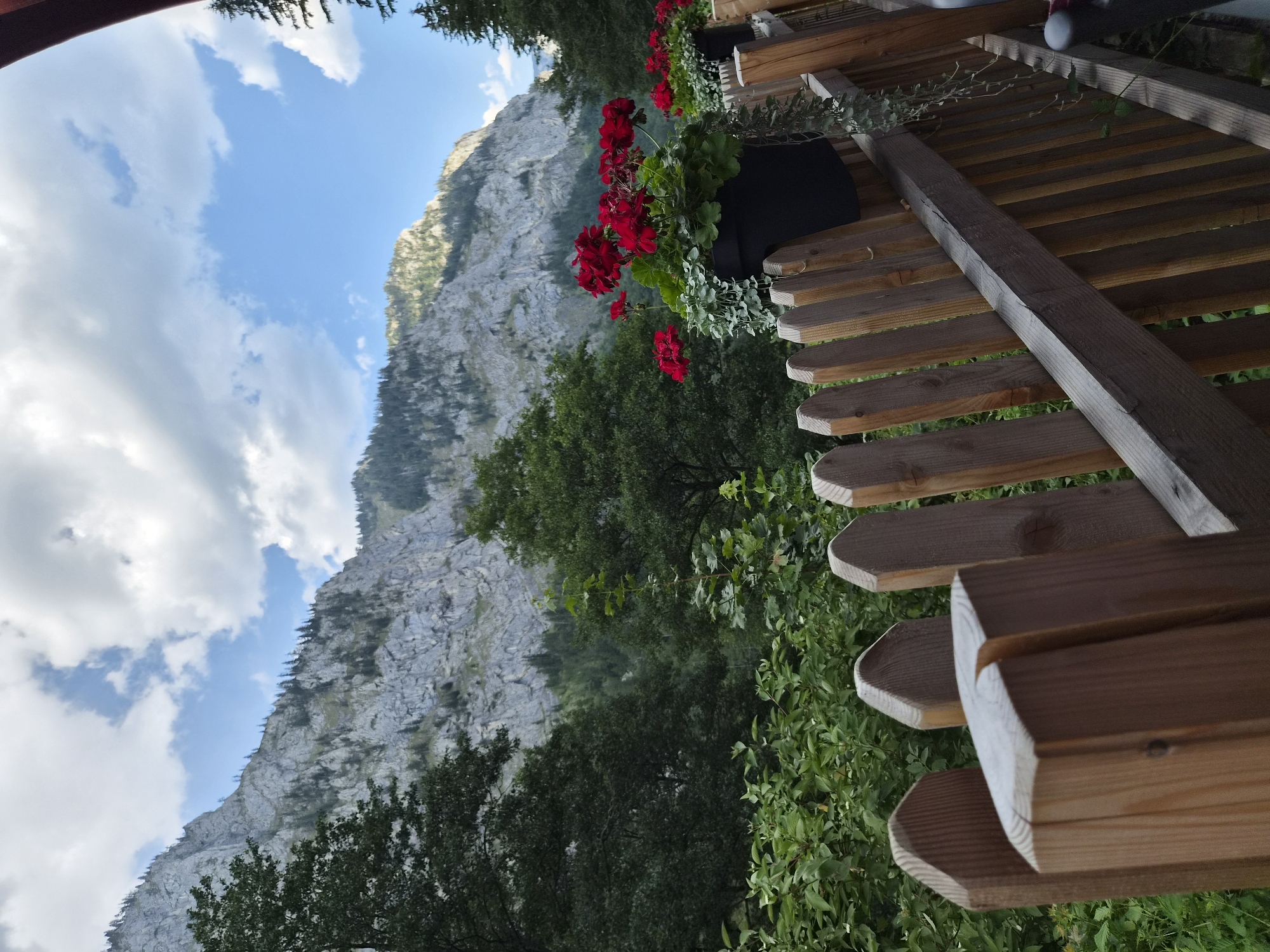 The image captures a scenic mountain landscape in Eisenerz, Austria, viewed from behind a wooden fence. In the foreground, a weathered wooden fence with pointed posts runs diagonally across the frame. Beyond the fence, lush green foliage forms a dense backdrop.
Dominating the middle ground and background are towering, rocky mountains, their grey faces streaked with shadows. Patches of dark green trees, including evergreens, dot the slopes and line the base of the mountains. The sky above is a vibrant blue, punctuated by dramatic white clouds that cast soft shadows on the mountains.
In the middle right of the image, two black planters filled with bright red geraniums are placed on top of the fence. Green vines trail down from the planters, adding a touch of delicate greenery. The overall scene evokes a sense of natural beauty and tranquility.