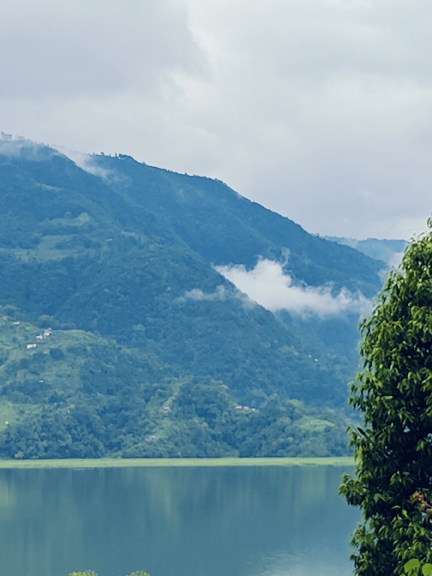The image depicts a serene landscape in Pokhara, Nepal, featuring a tranquil lake in the foreground and lush, verdant mountains in the background. The water of the lake is a deep, reflective green, mirroring the overcast sky and the surrounding foliage. A few scattered buildings are visible on the lower slopes of the mountains, suggesting a human presence within the natural setting. Wisps of clouds drift across the mountain peaks, partially obscuring them and adding a sense of depth and atmosphere to the scene. The dense green vegetation covering the mountains indicates a healthy and thriving ecosystem. A portion of a leafy tree branch is visible on the right side of the frame, framing the view and adding a touch of foreground detail. The overall impression is one of natural beauty and peacefulness, characteristic of the Pokhara Valley.