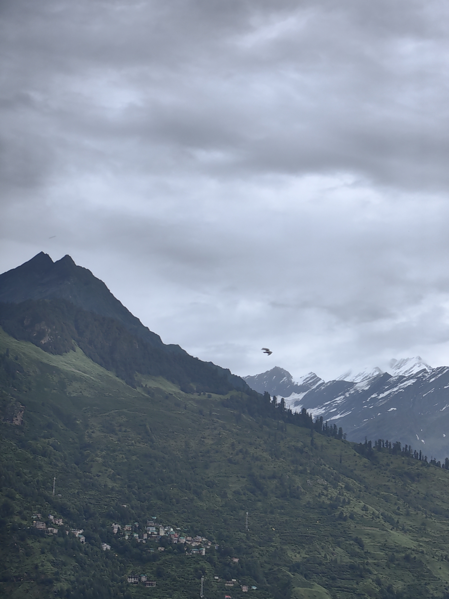 The image depicts a panoramic view of the mountainous region surrounding Vashisht, India, under a heavily overcast sky. In the foreground, a lush green mountainside slopes downwards, dotted with a cluster of buildings forming a small village. The architecture of these buildings appears to be multi-storied with white and pastel-colored facades, characteristic of the region. Further up the mountain, a dense forest of dark green trees covers the terrain, leading towards sharp, dark peaks that dominate the left side of the frame.
In the background, a majestic range of snow-capped mountains stretches across the horizon, their rugged, dark slopes contrasting with the white snow and ice. The sky is filled with thick, grey clouds, casting a diffused light over the entire scene and creating a somewhat muted and dramatic atmosphere. A single bird is captured in mid-flight, soaring between the foreground mountains and the distant snow-capped peaks. The overall impression is one of natural grandeur and the presence of human settlement nestled within a vast, untamed landscape.